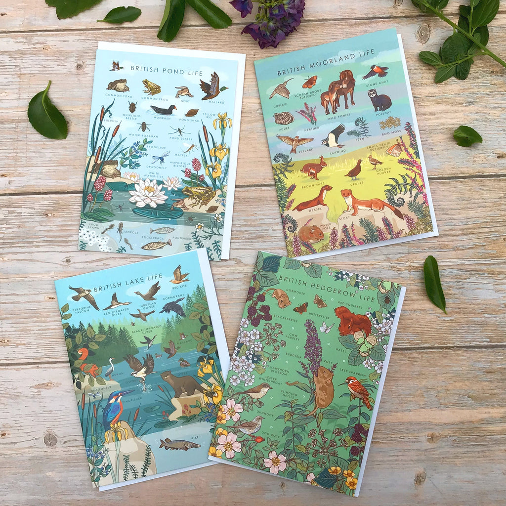 Set of 4 British Nature Guide Cards: Hedgerow, Moorland, Pond and Lake Life