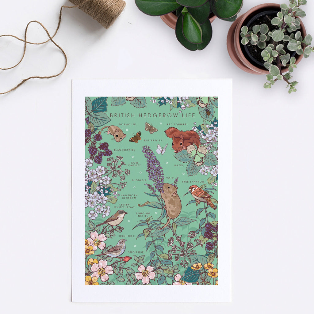 British Hedgerow Life Nature Guide Wall Art Print