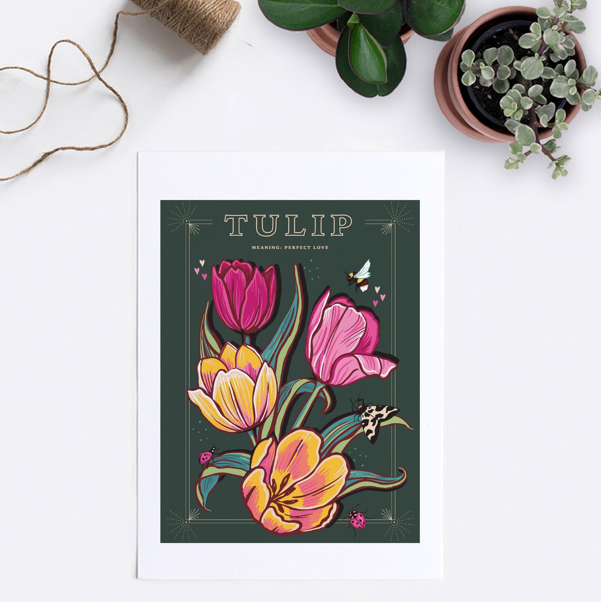 Tulip Wall Art Print, Meaning of Flowers Vintage Seed Packet Style Illustration Print