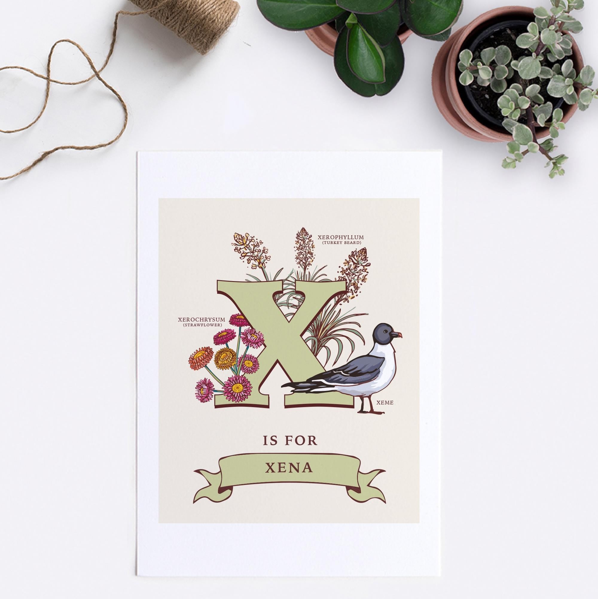 X - Personalised Letter X Print, Initial X Wall Art, Nature Guide Monogram Illustration