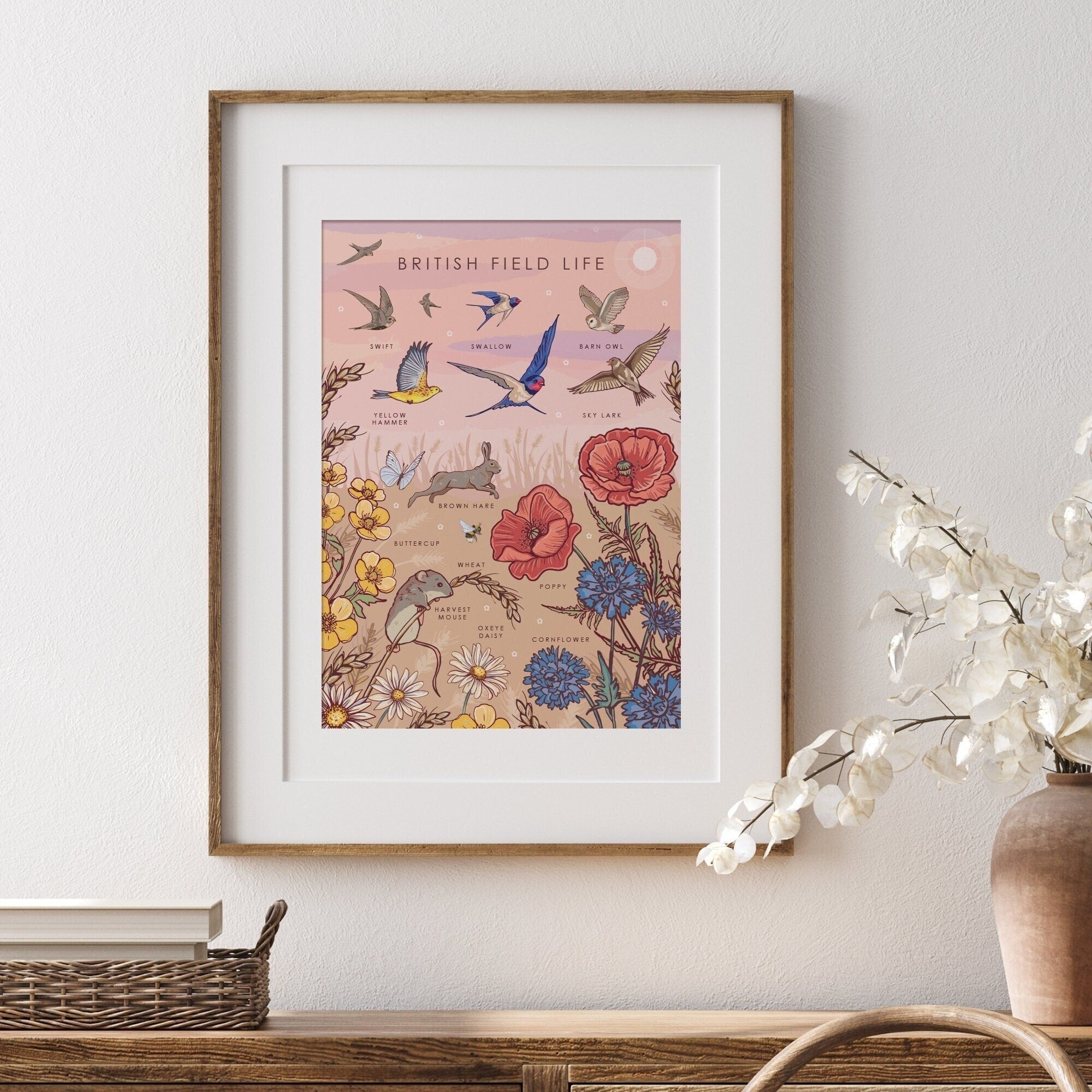 British Field Life Nature Guide Wall Art Print