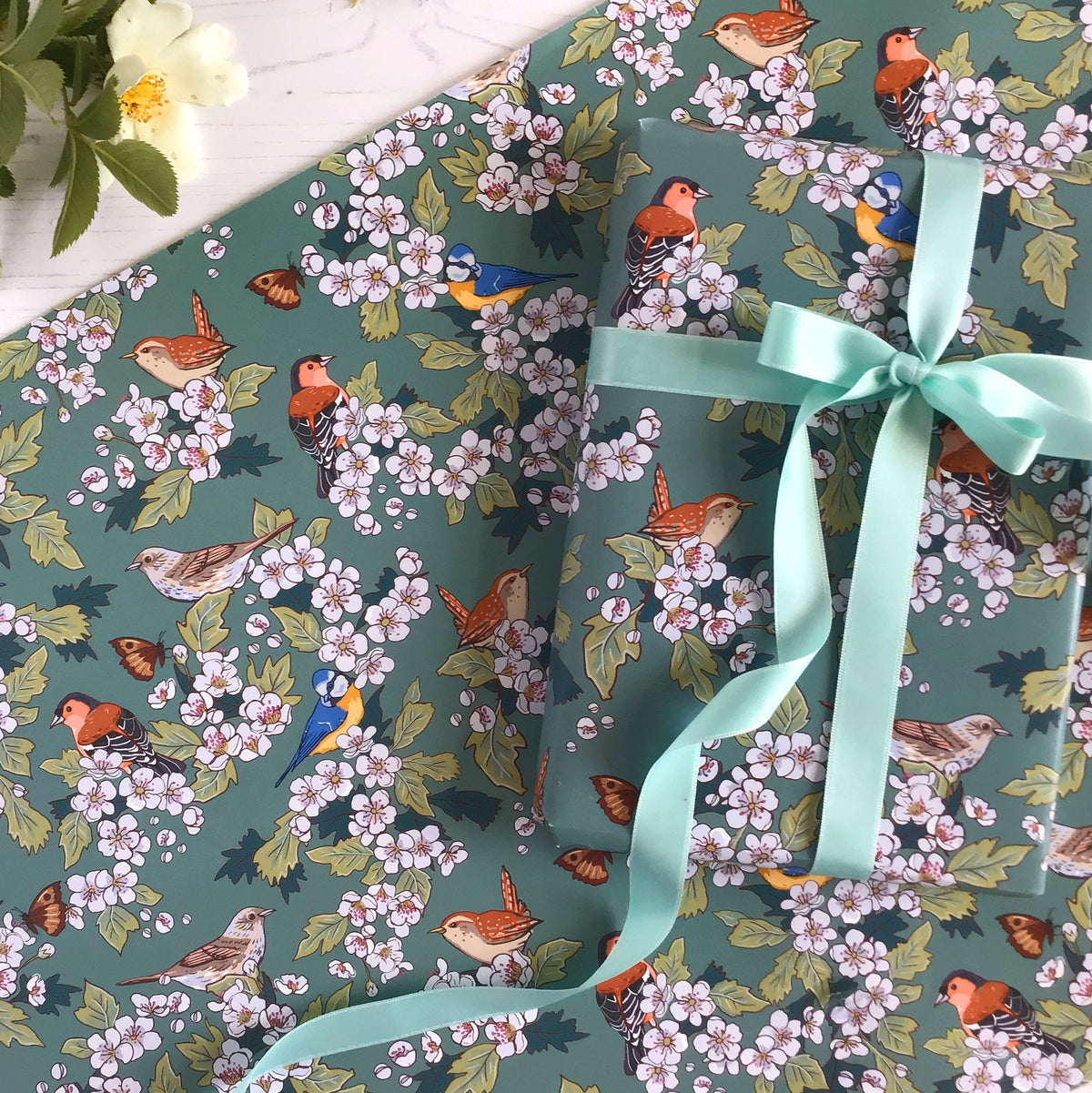 Hawthorn Blossom Gift Wrap, Hedgerow Birds Wrapping Paper
