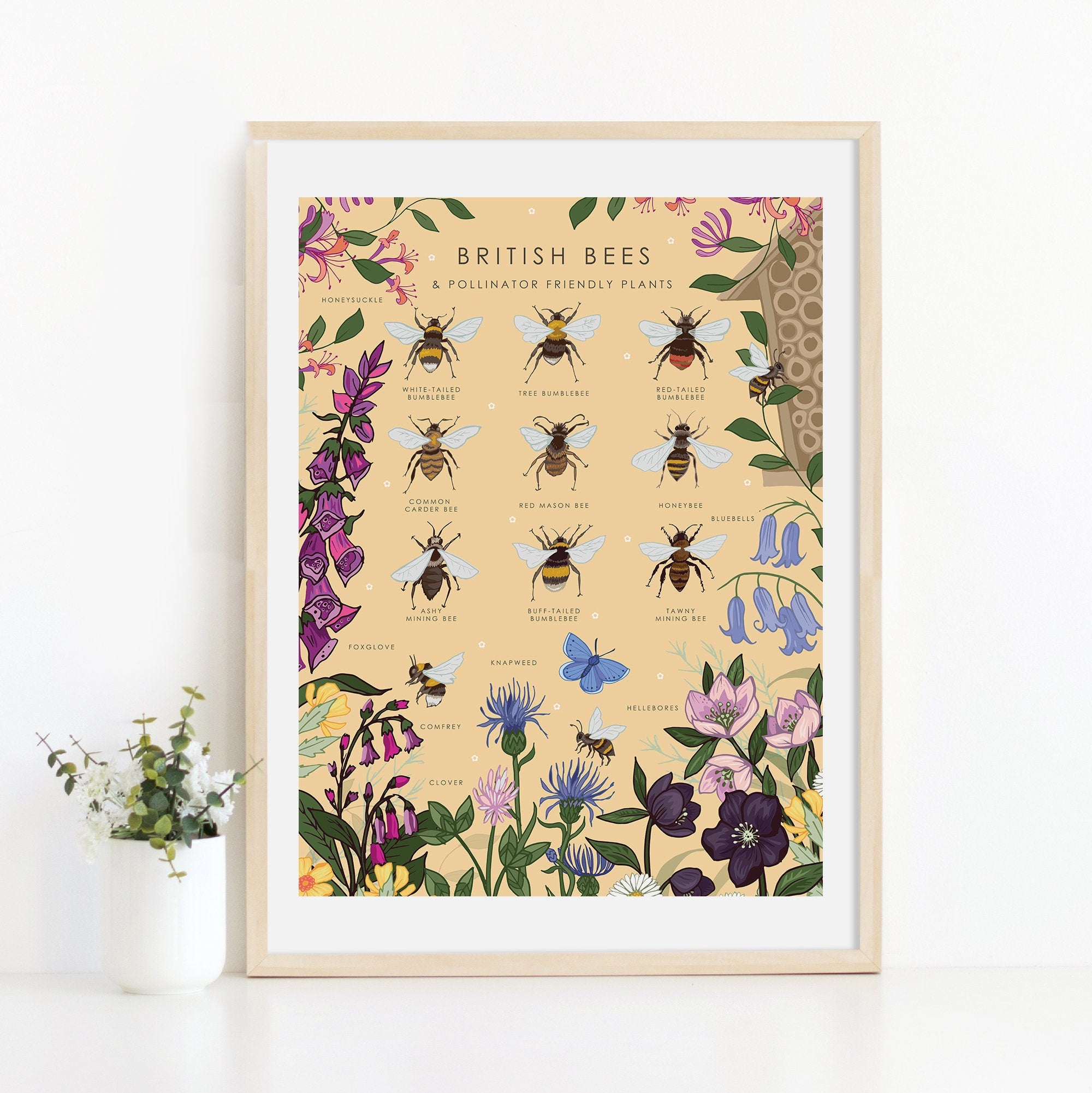 British Bees and Pollinator Friendly Plants Nature Guide Print