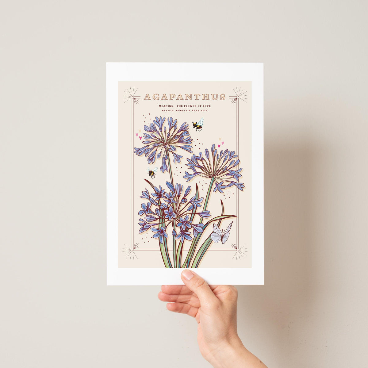 Agapanthus Wall Art Print, Flower Meaning Illustration Print