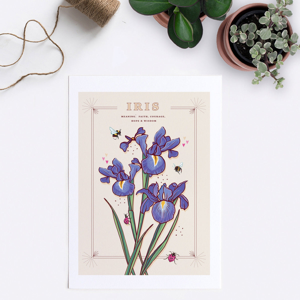 Iris Wall Art Print, Flower Meaning Illustration Print