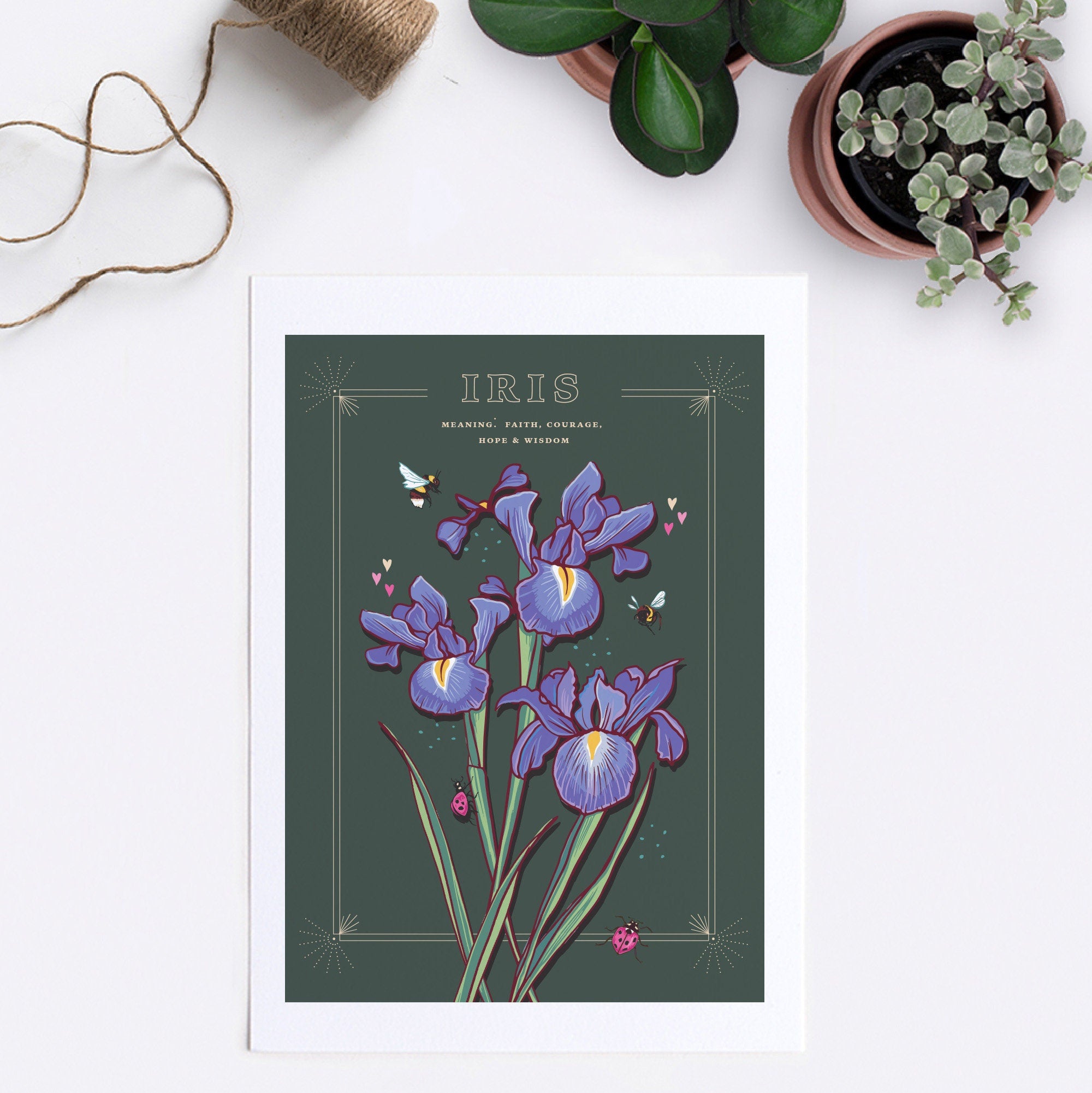 Iris Wall Art Print, Flower Meaning Illustration Print