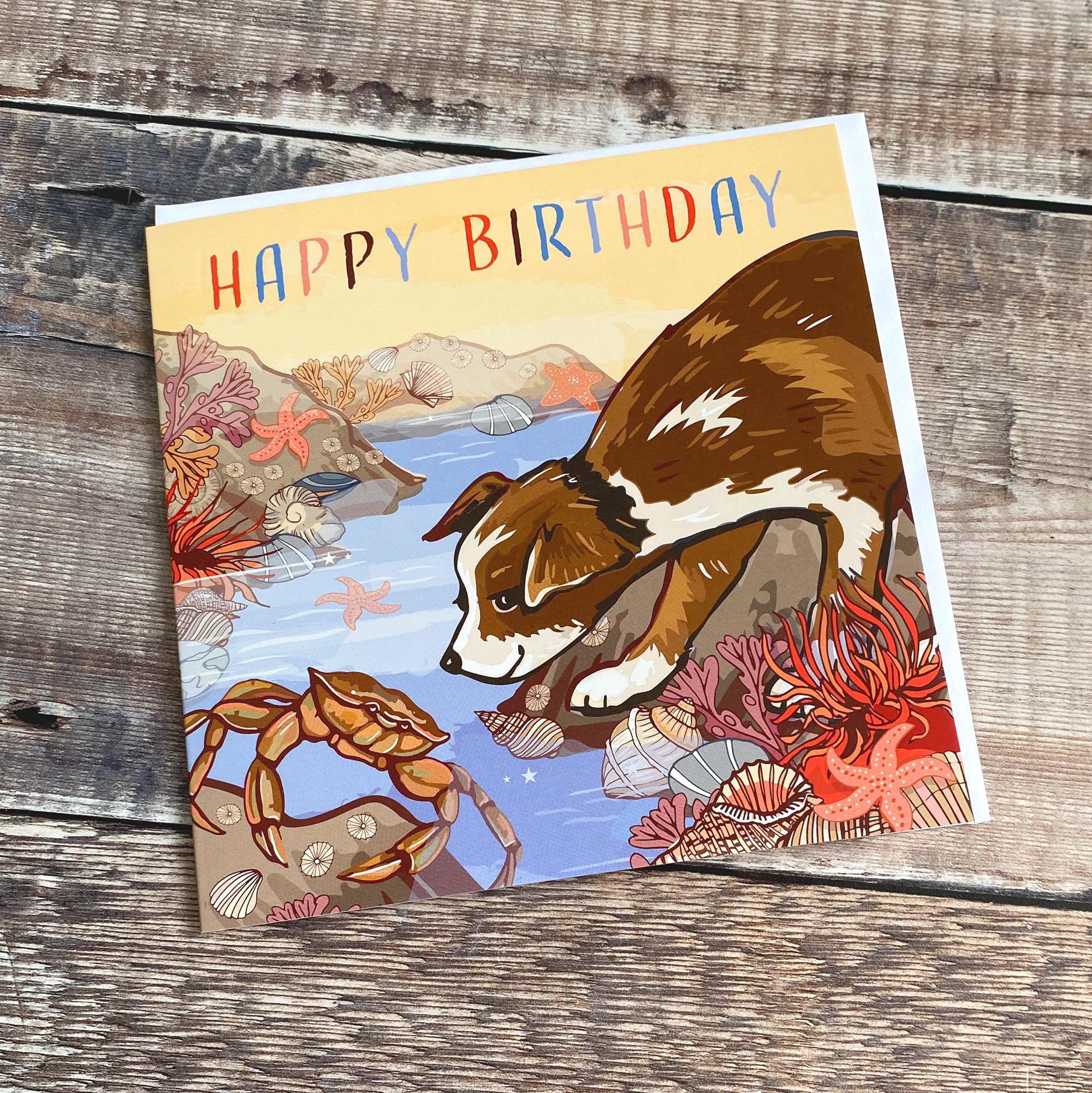 Coastal Birthday Card Set of 3 British Seaside Designs