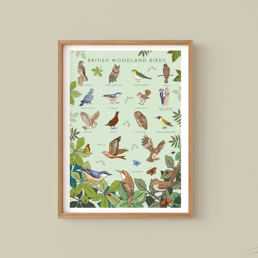 British Woodland Birds Nature Guide Wall Art Print