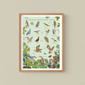 British Woodland Birds Nature Guide Wall Art Print