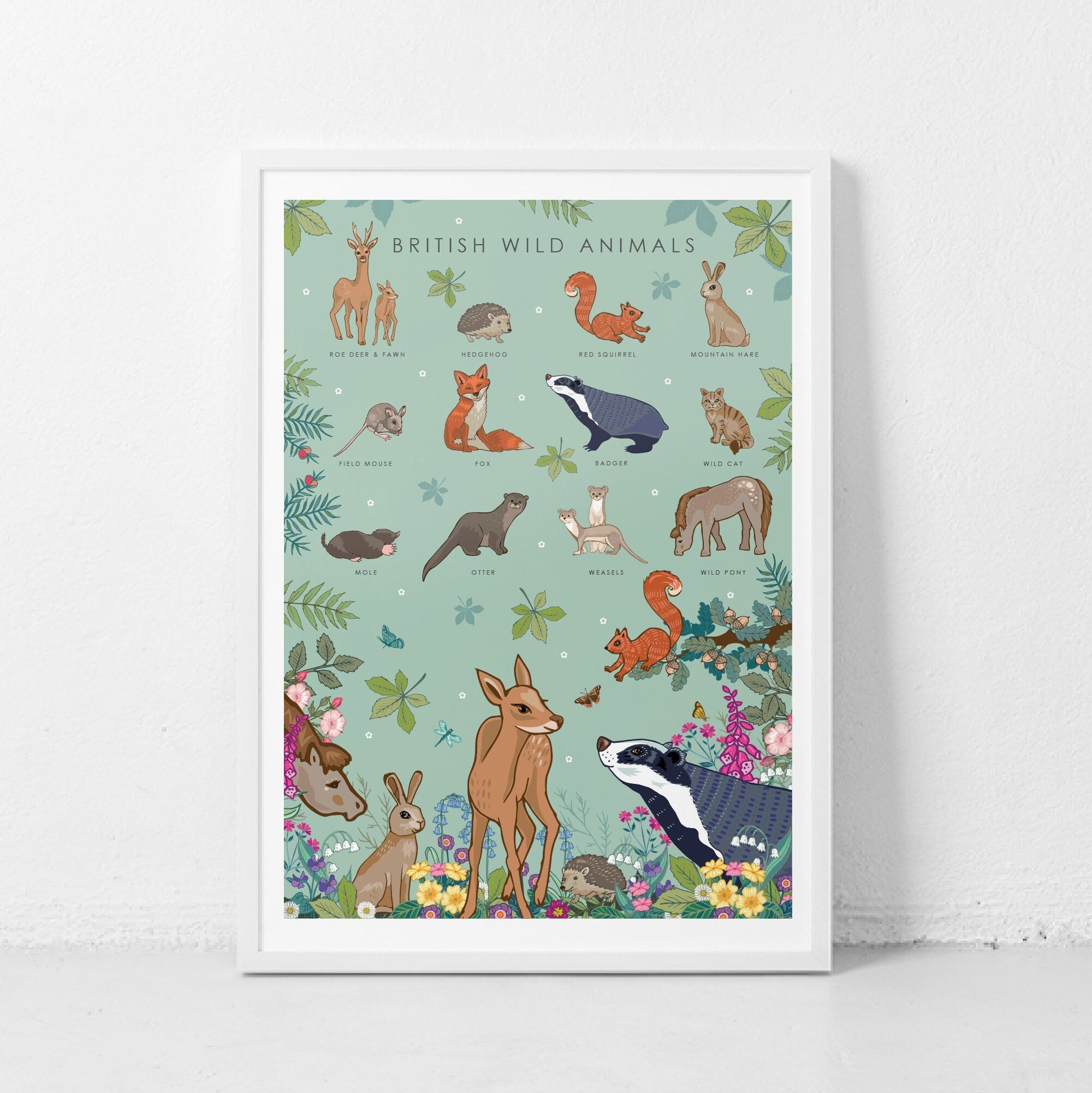 British Wild Animals Nature Guide Wall Art Print