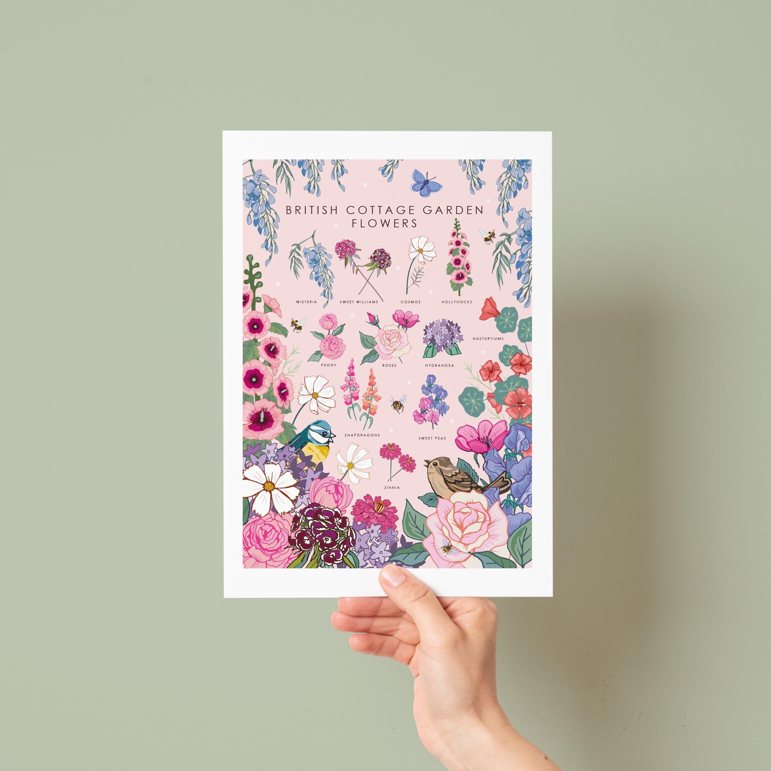 British Cottage Garden Flowers Nature Guide Wall Art Print