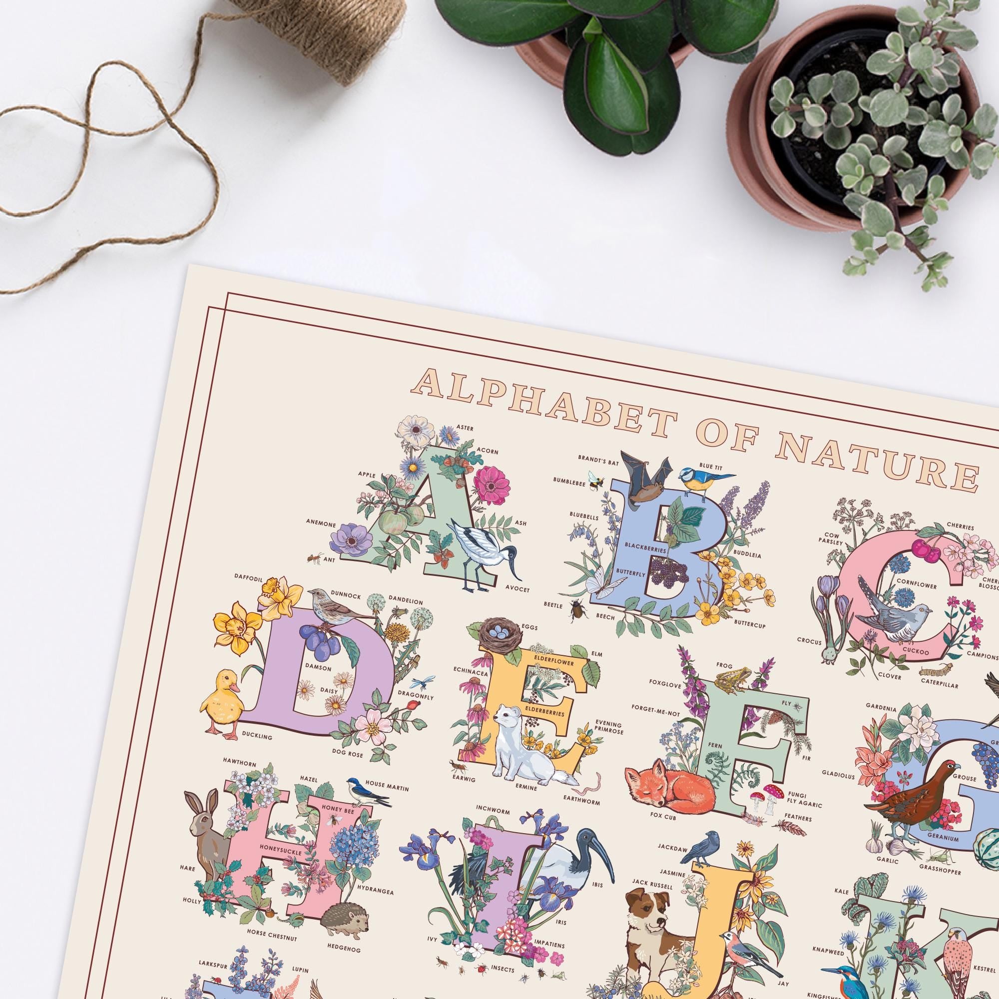 Alphabet of Nature Large Poster A2 size