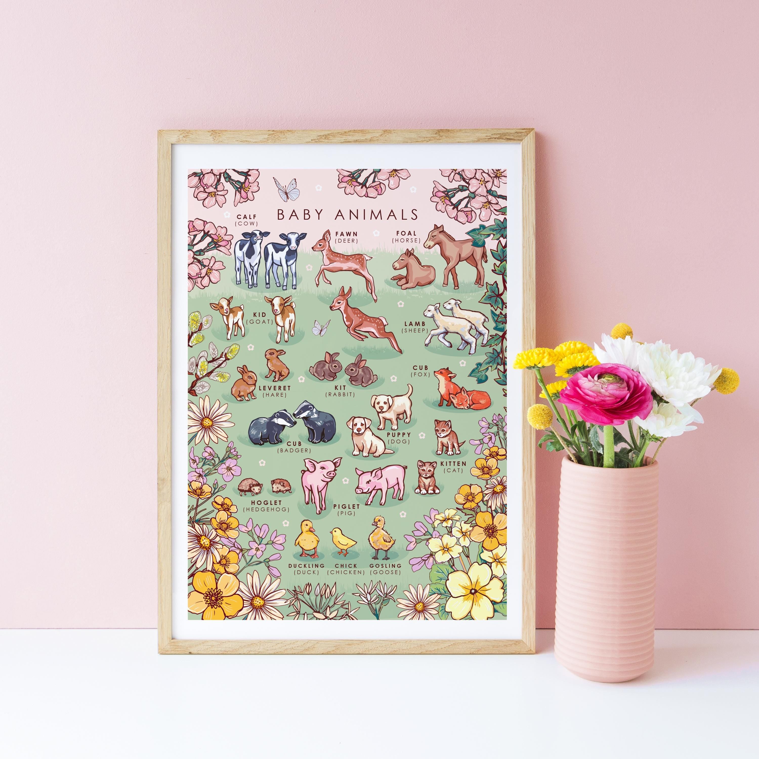 Baby Animals Nature Guide Wall Art Print