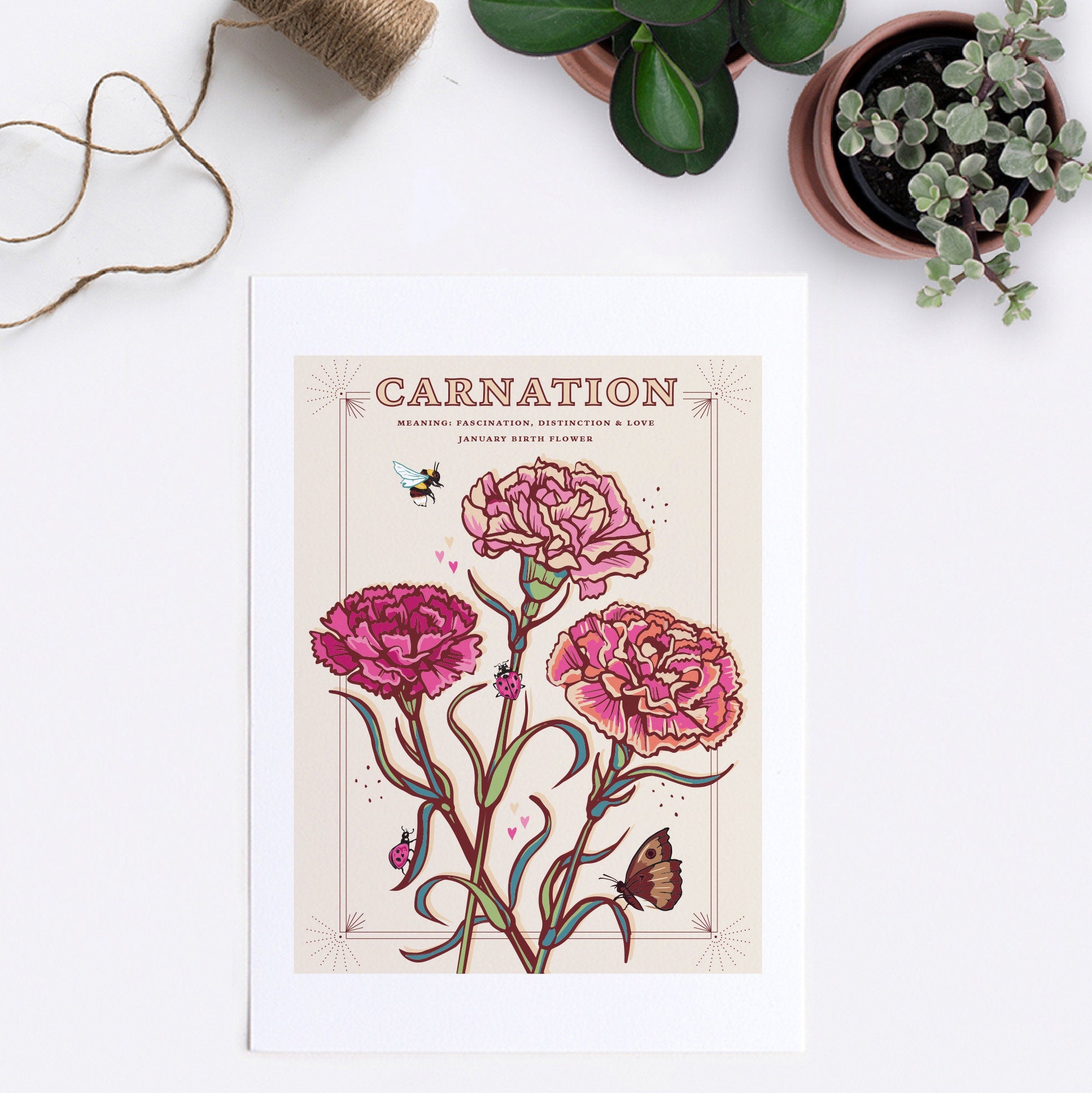 Carnations January Birth Flower Wall Art Print