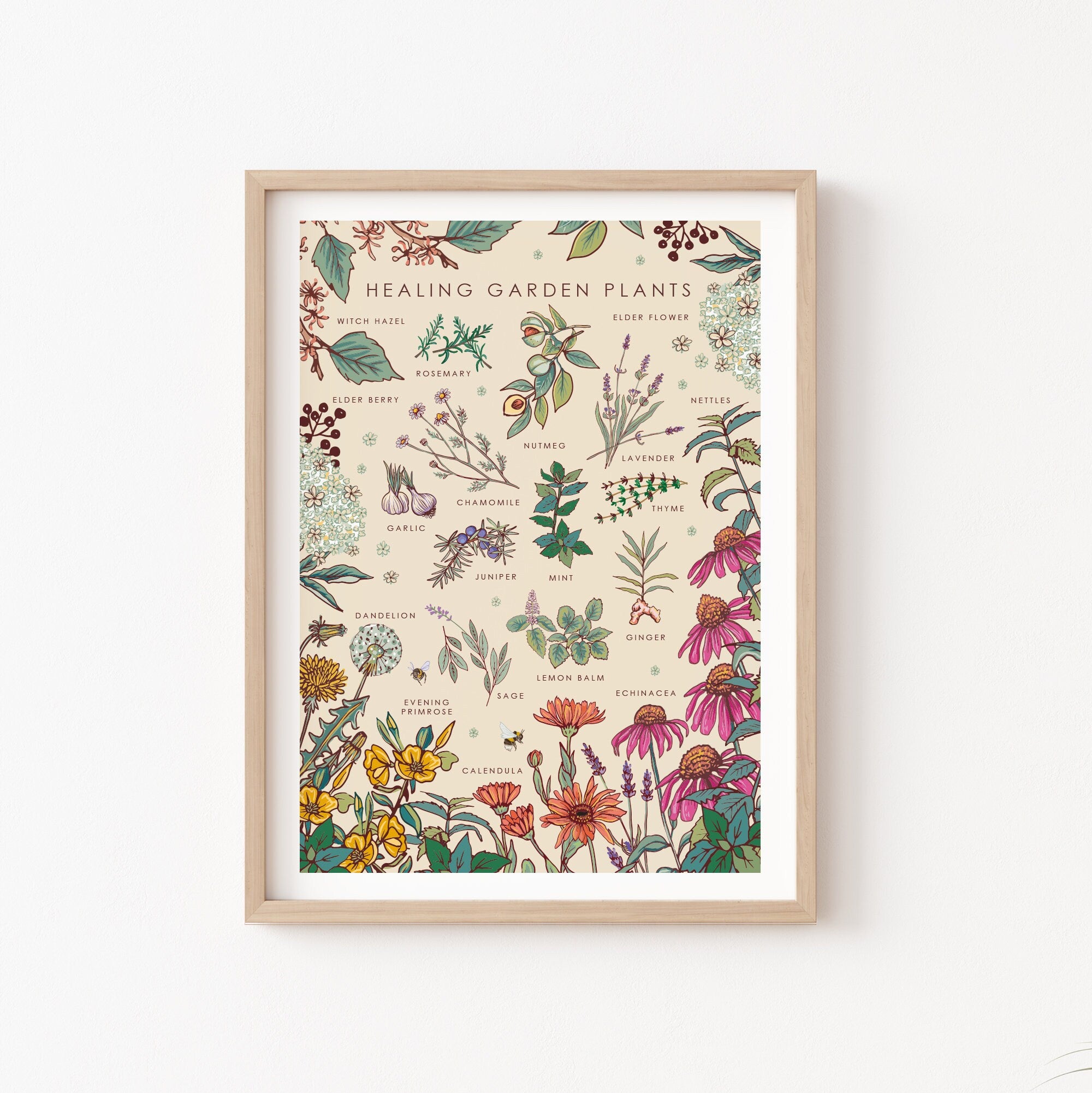 Healing Garden Plants Nature Guide Wall Art Print
