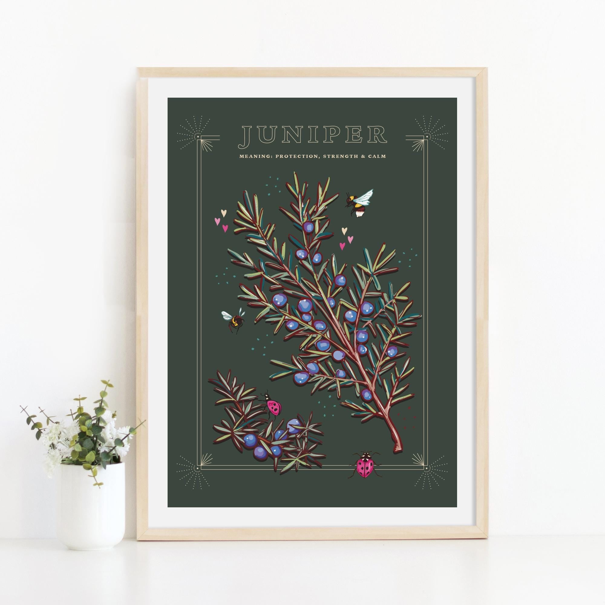 Juniper Wall Art Print, Plant Meaning Illustration Print