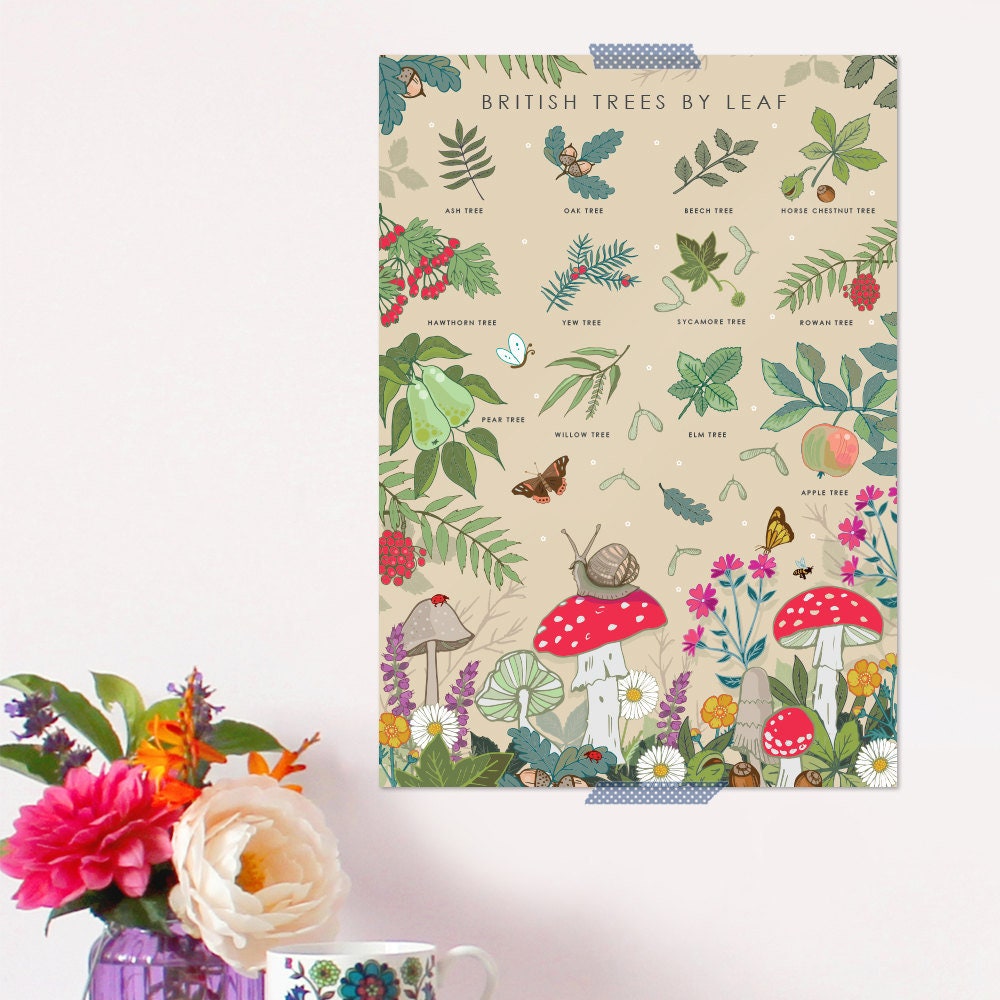British Trees by Leaves Nature Guide Wall Art