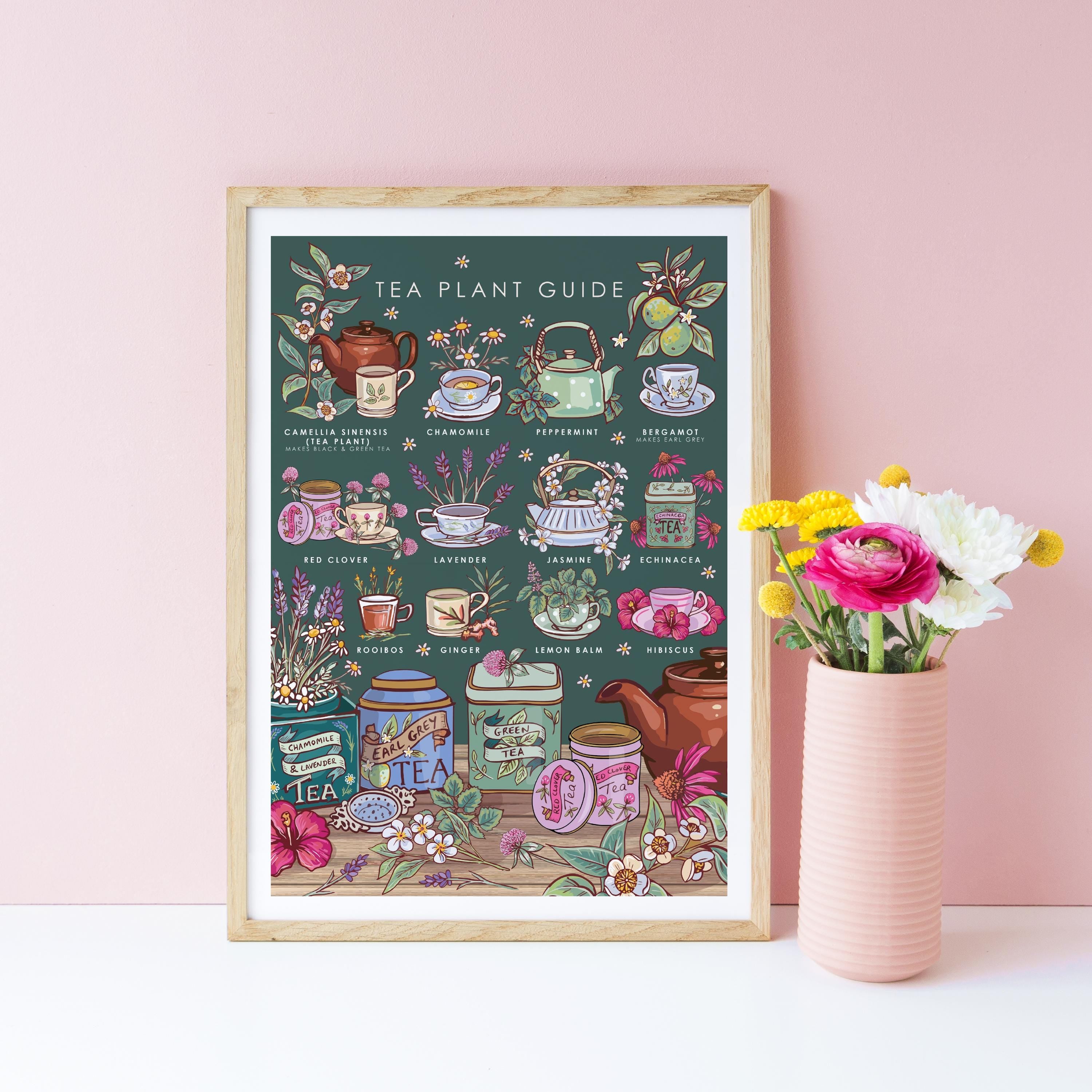 Tea Plants Nature Guide Wall Art Print