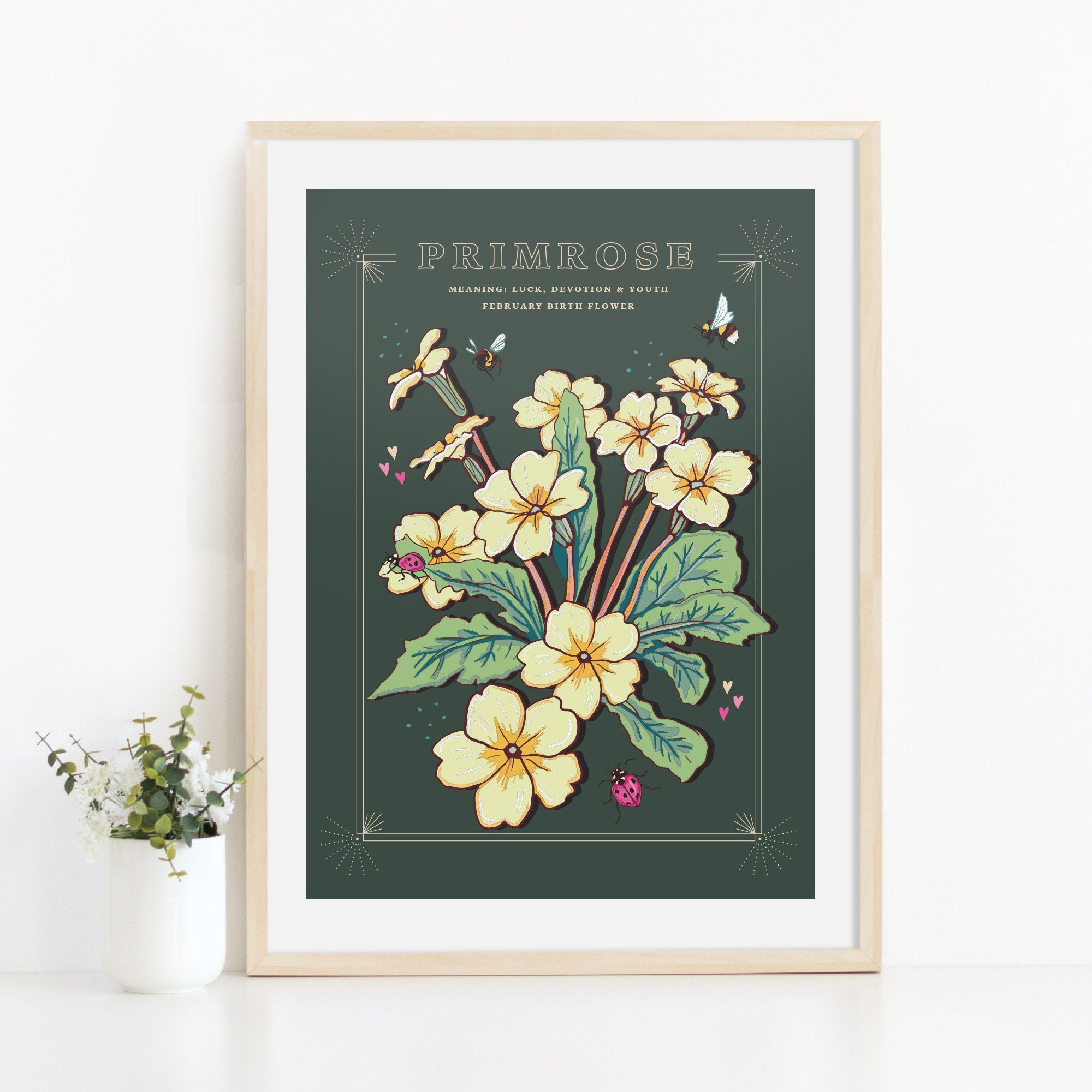 Primrose February Birth Flower Wall Art Print