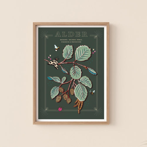 Alder Tree Wall Art Print