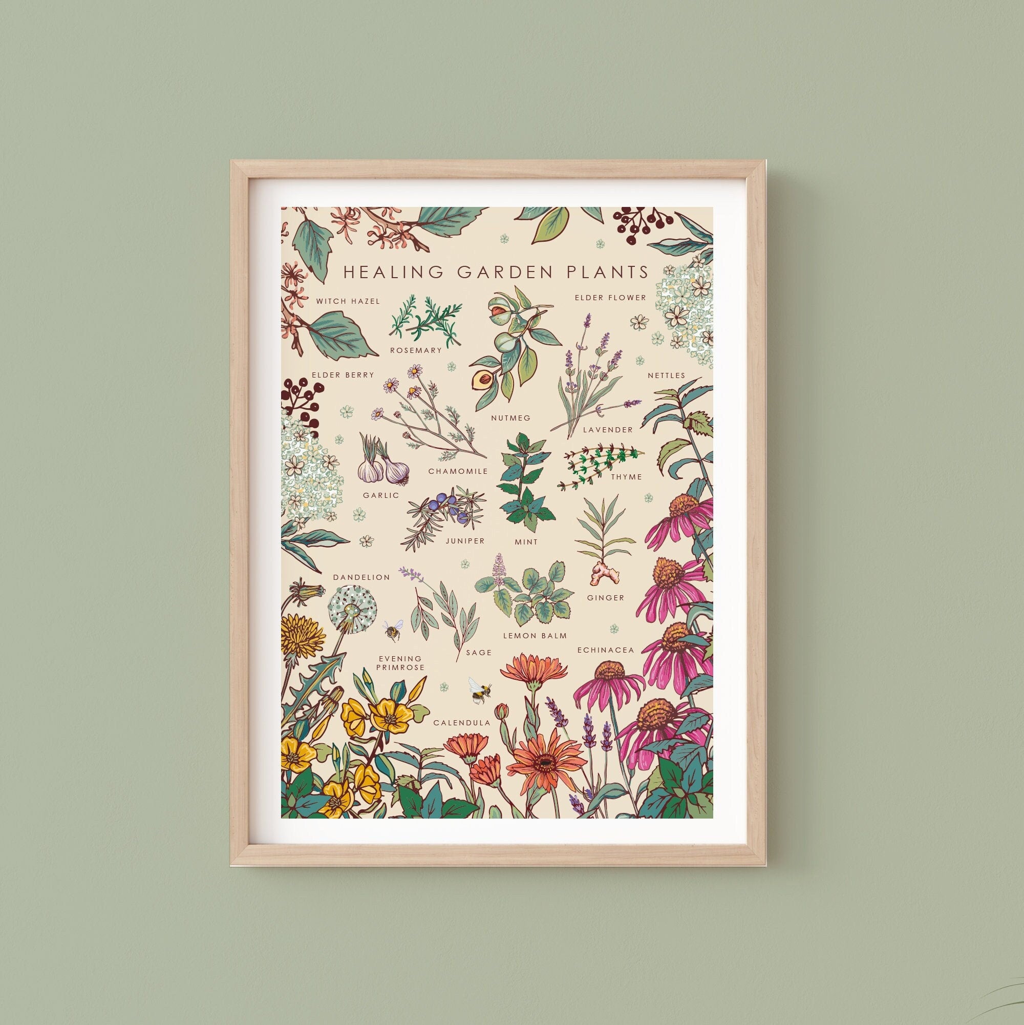 Healing Garden Plants Nature Guide Wall Art Print