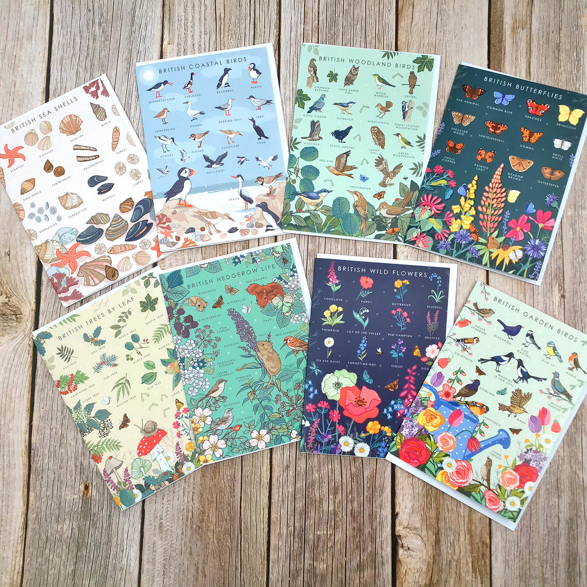 British Nature Guide Cards: Wildlife & Coastal Note Card Set