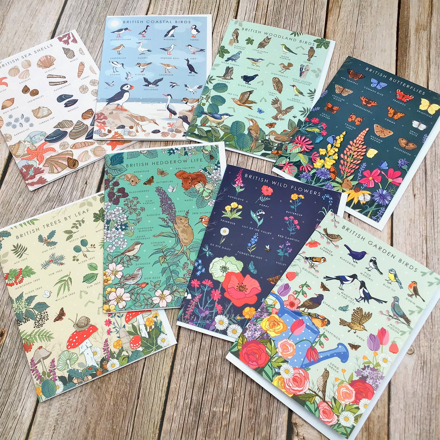 British Nature Guide Cards: Wildlife & Coastal Note Card Set