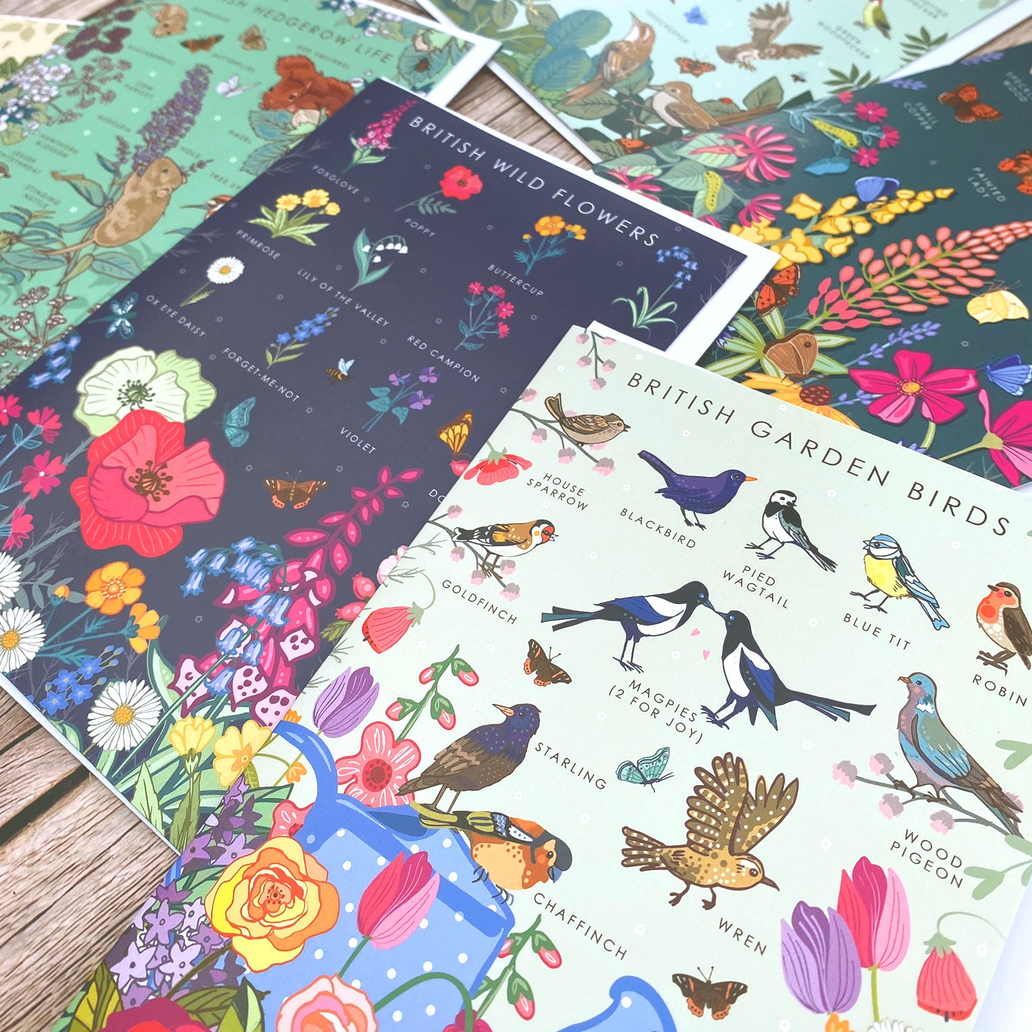 British Nature Guide Cards: Wildlife & Coastal Note Card Set