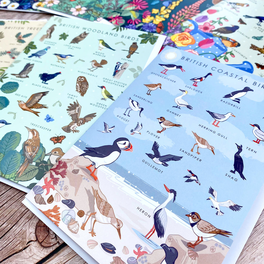 British Nature Guide Cards: Wildlife & Coastal Note Card Set