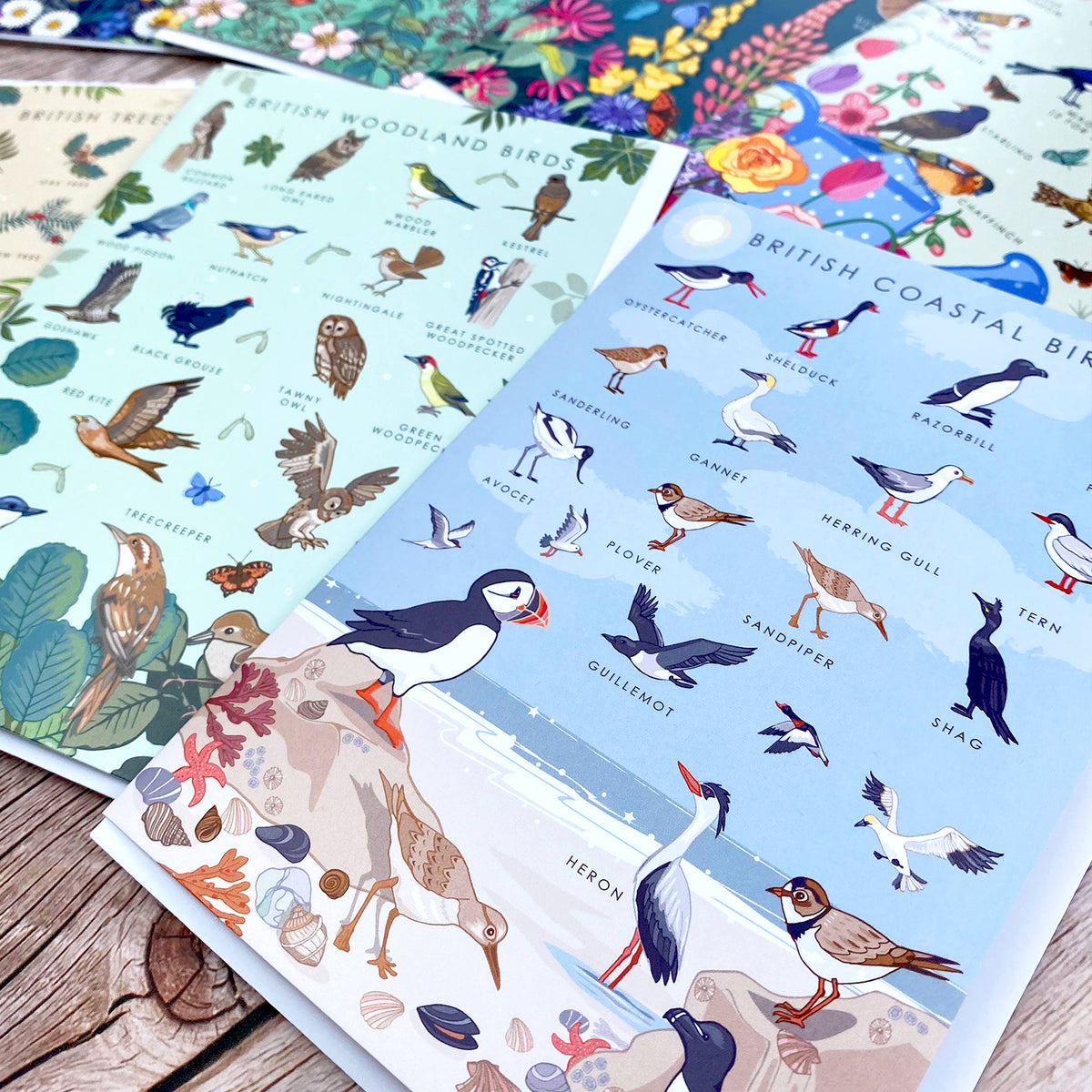British Nature Guide Cards: Wildlife & Coastal Note Card Set