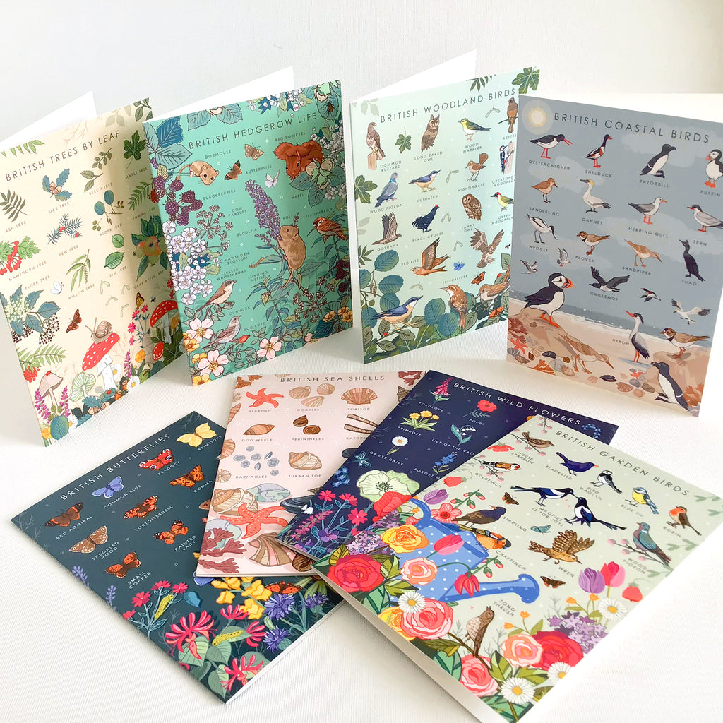 British Nature Guide Cards: Wildlife & Coastal Note Card Set