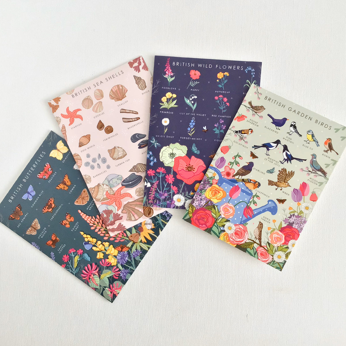 British Nature Guide Cards: Wildlife & Coastal Note Card Set