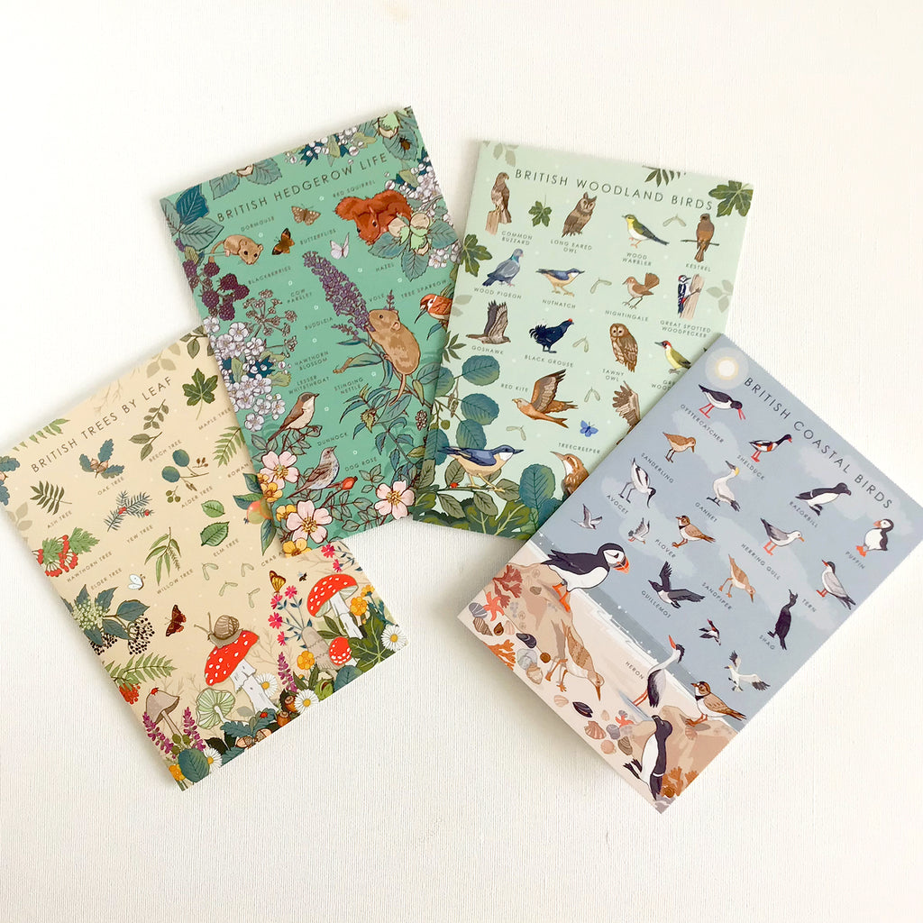 British Nature Guide Cards: Wildlife & Coastal Note Card Set