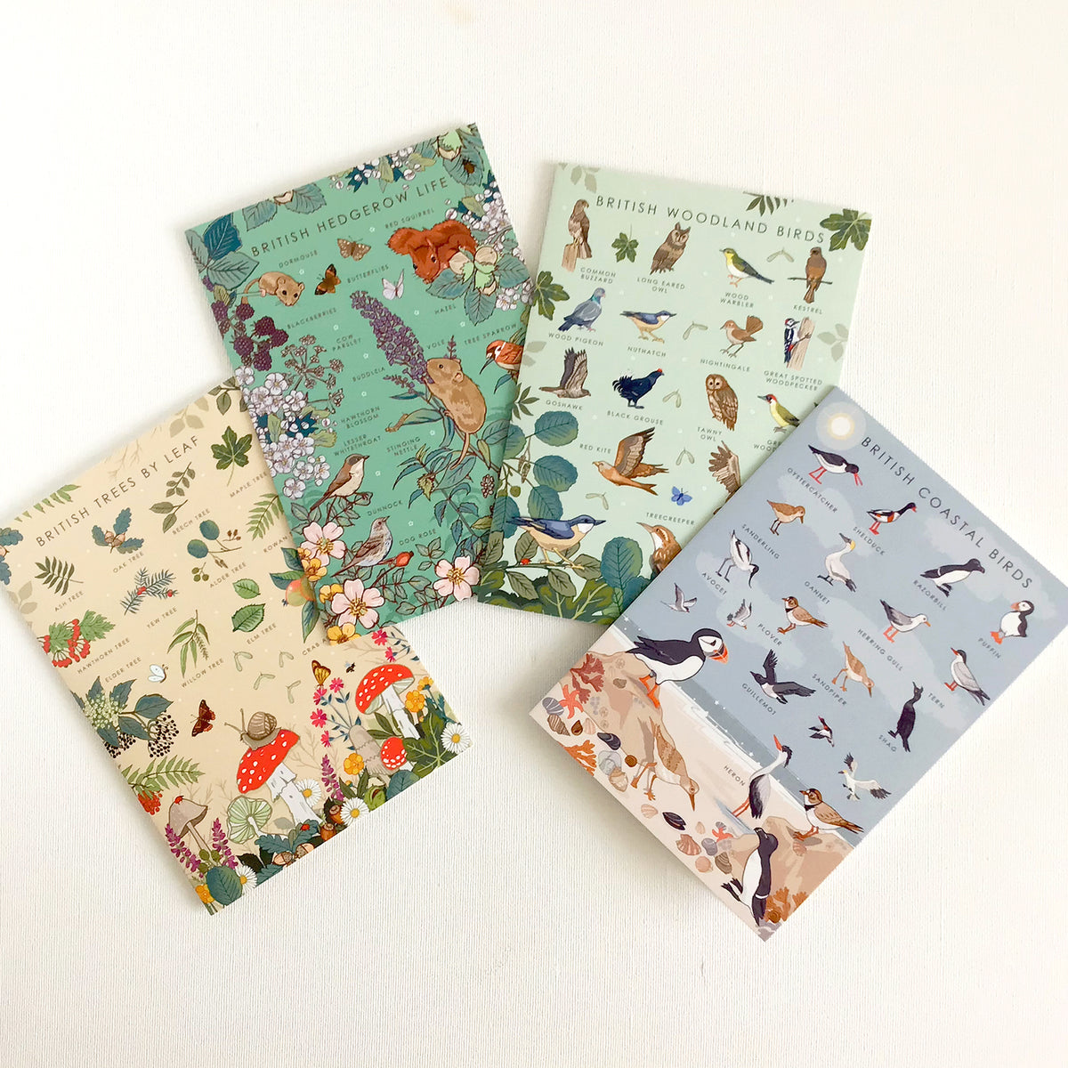 British Nature Guide Cards: Wildlife & Coastal Note Card Set