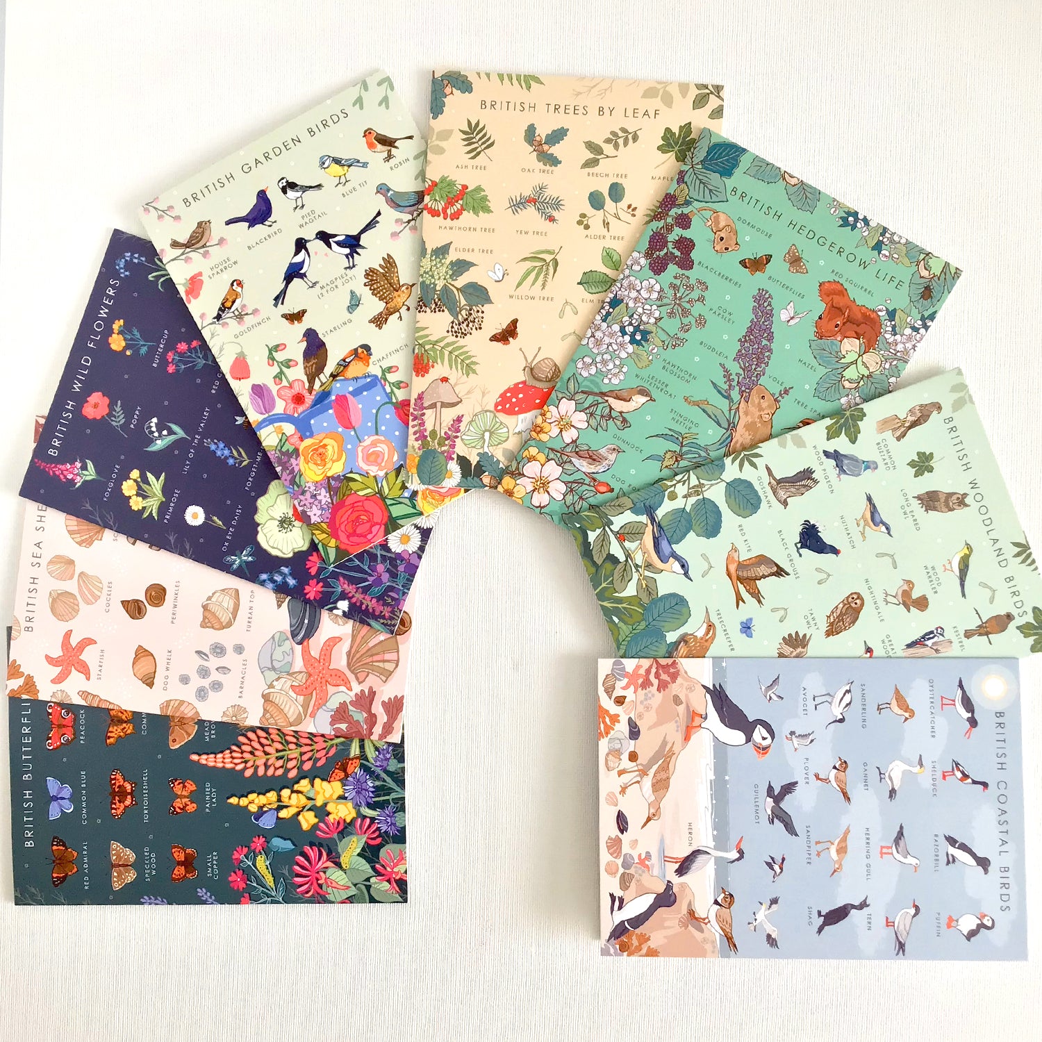 British Nature Guide Cards: Wildlife & Coastal Note Card Set