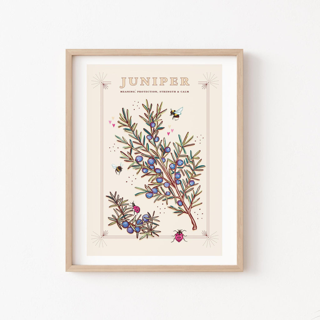 Juniper Wall Art Print, Plant Meaning Illustration Print