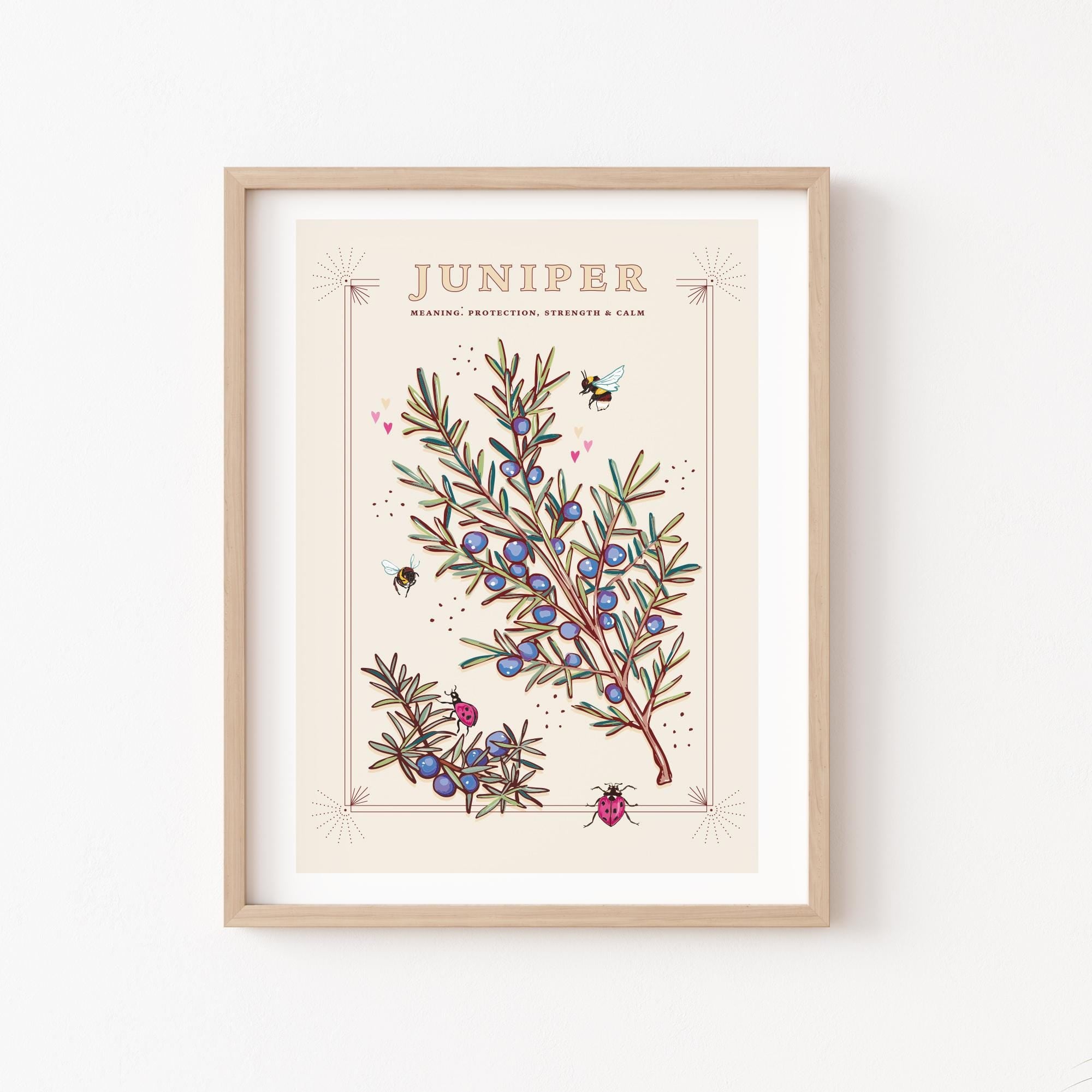 Juniper Wall Art Print, Plant Meaning Illustration Print