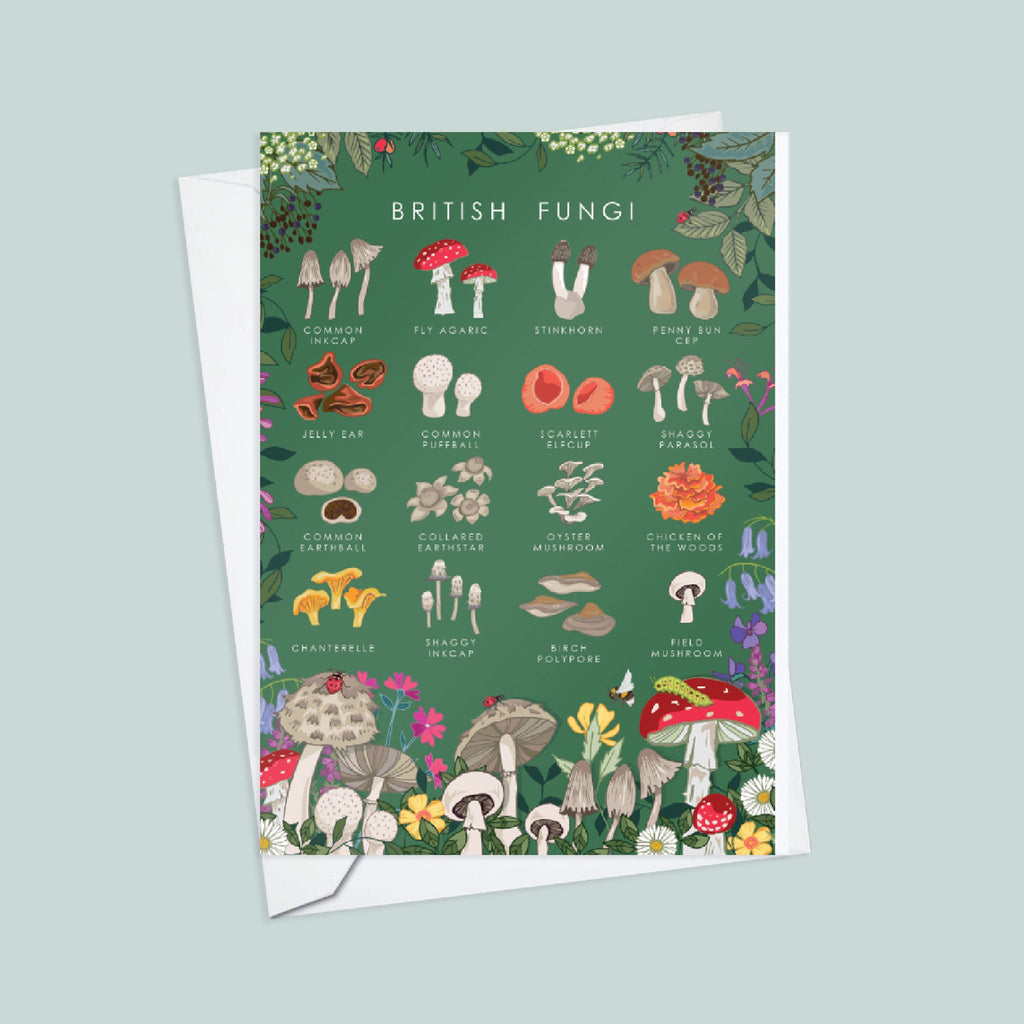 Set of 4 British Nature Guide Cards,  Bees, Insects, Fungi, Bats