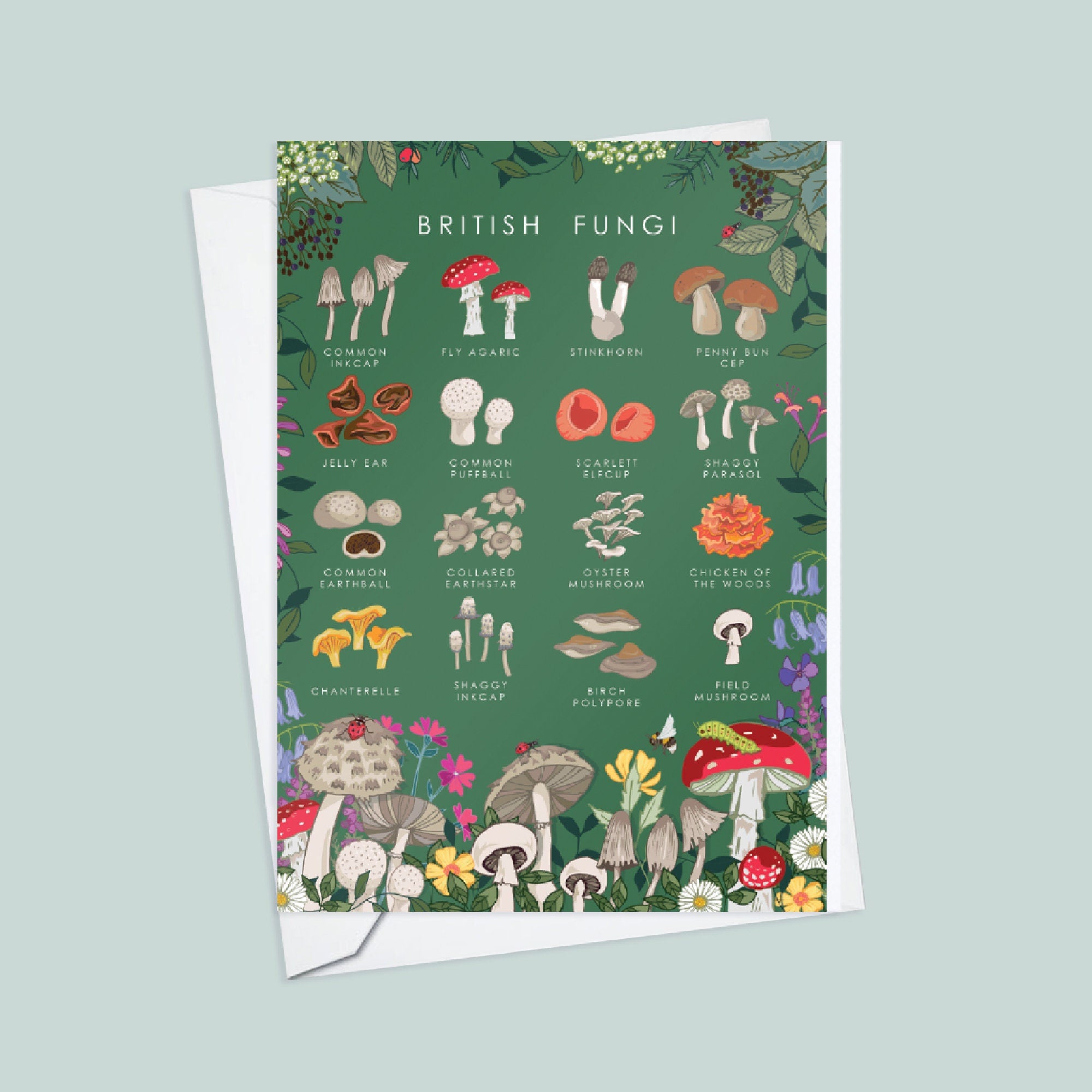 Set of 4 British Nature Guide Cards,  Bees, Insects, Fungi, Bats