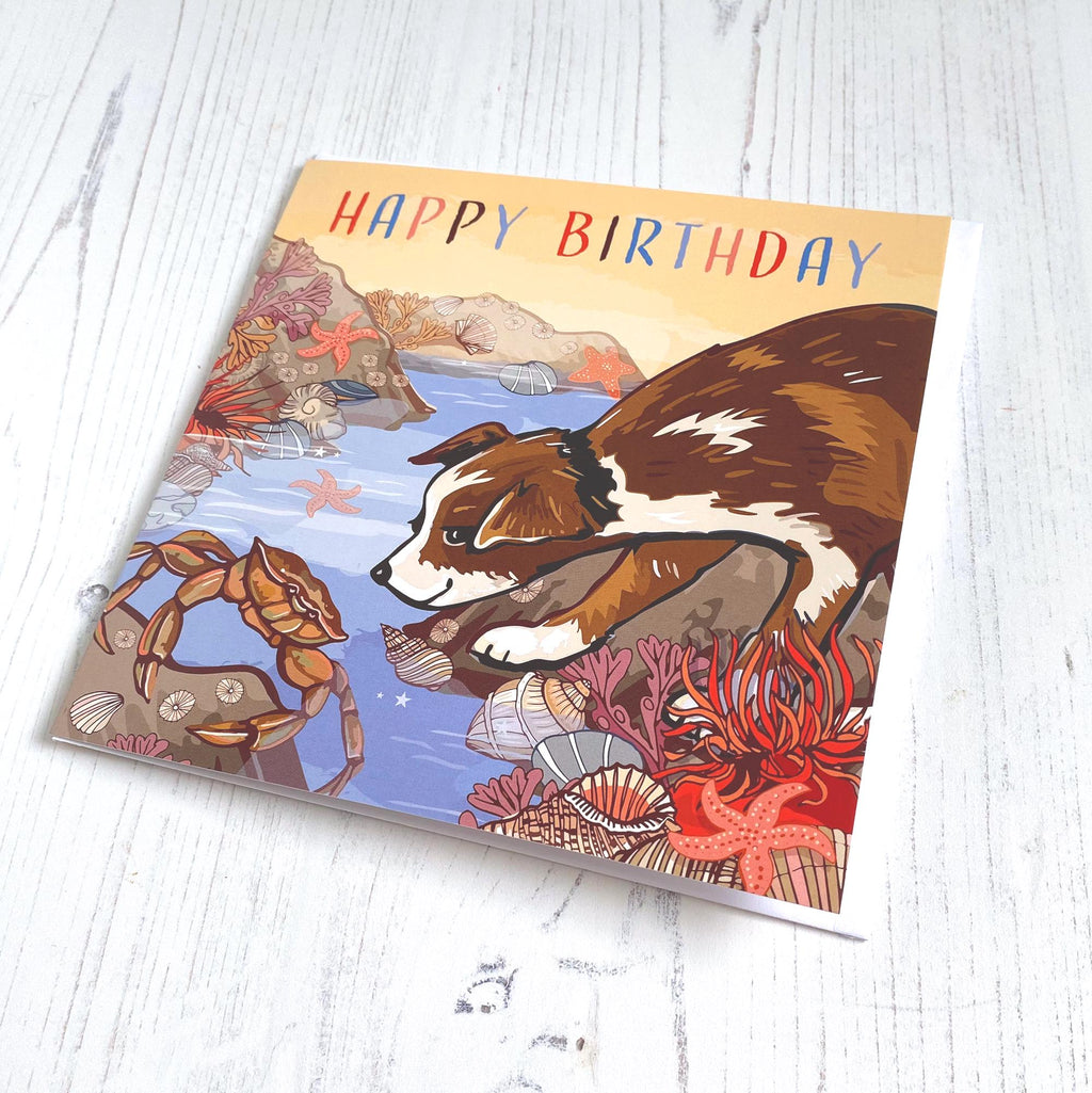 Coastal Birthday Card Set of 3 British Seaside Designs