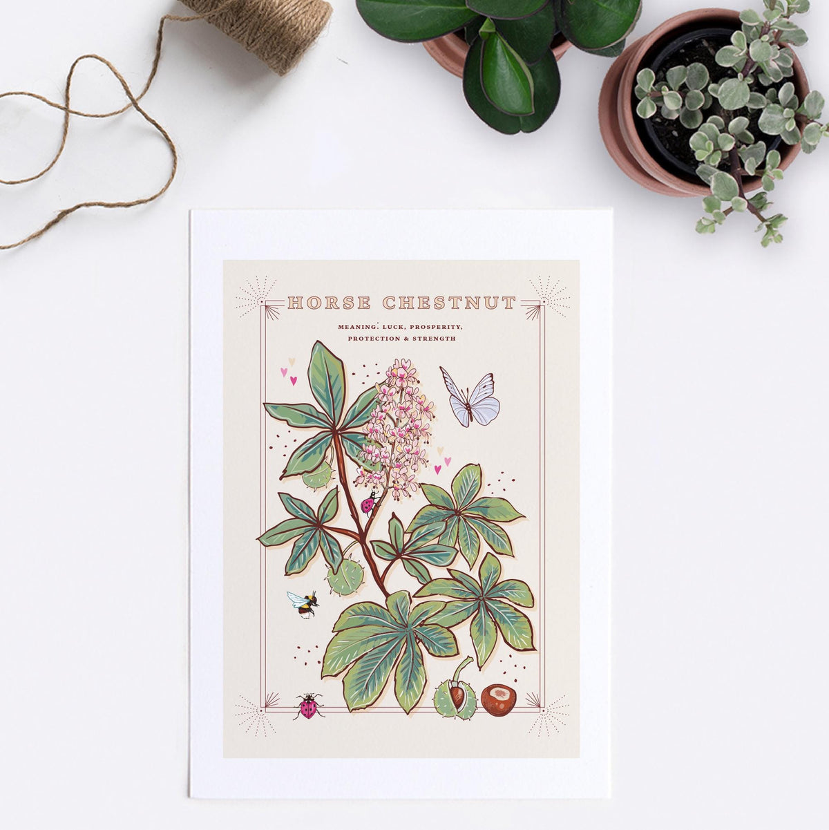 Horse Chestnut Tree Wall Art Print