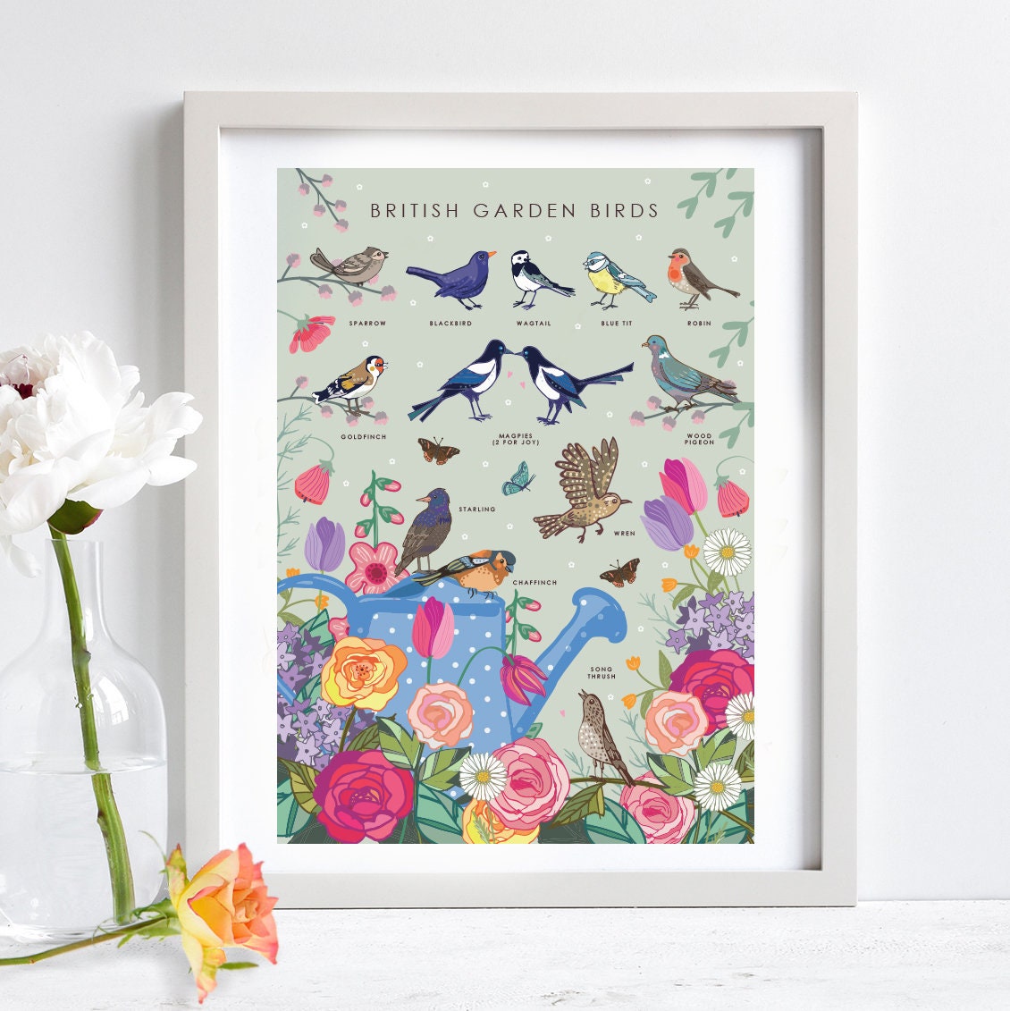 British Garden Birds Nature Guide Wall Art Print