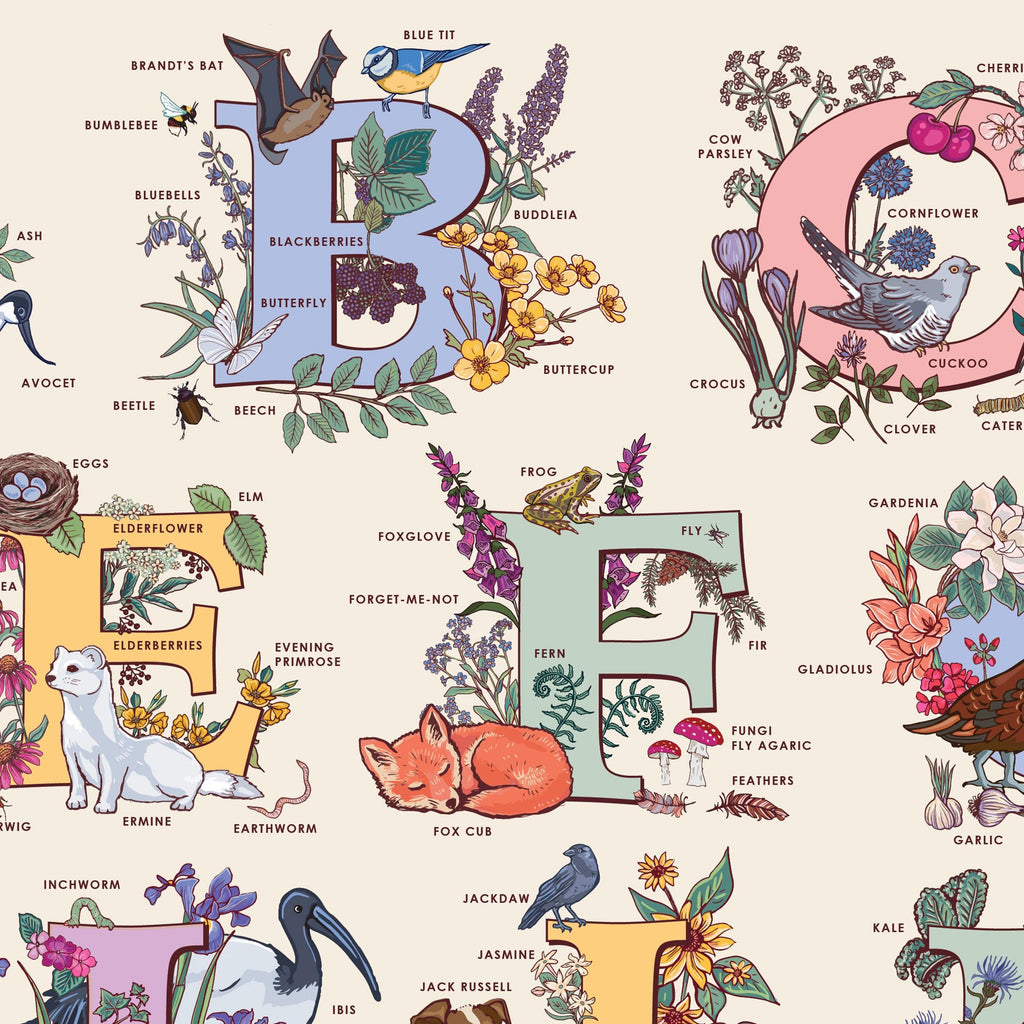 Alphabet of Nature Large Poster A2 size