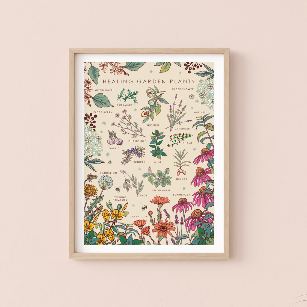 Healing Garden Plants Nature Guide Wall Art Print