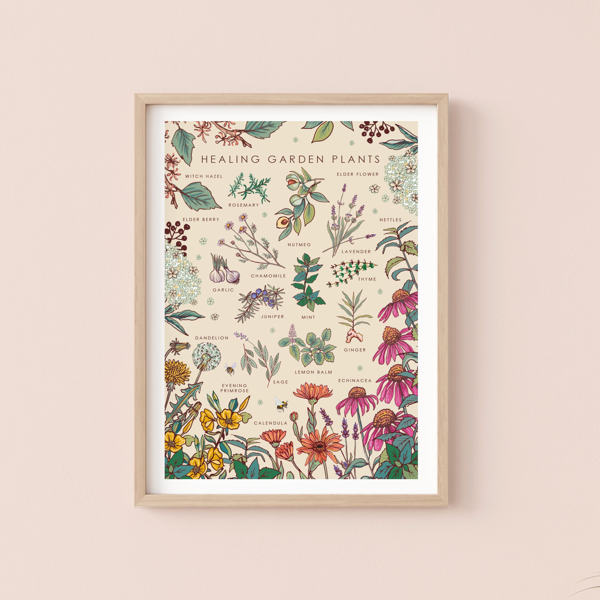 Healing Garden Plants Nature Guide Wall Art Print