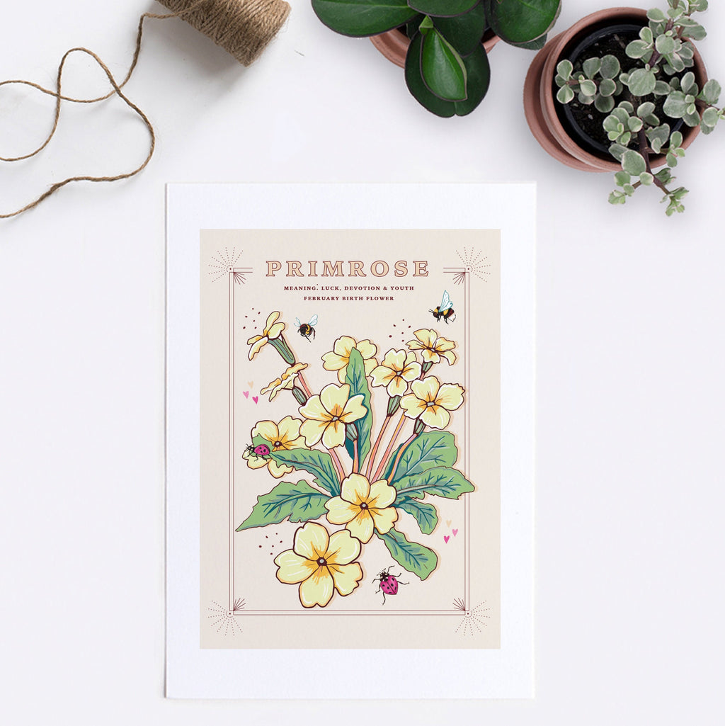 Primrose February Birth Flower Wall Art Print