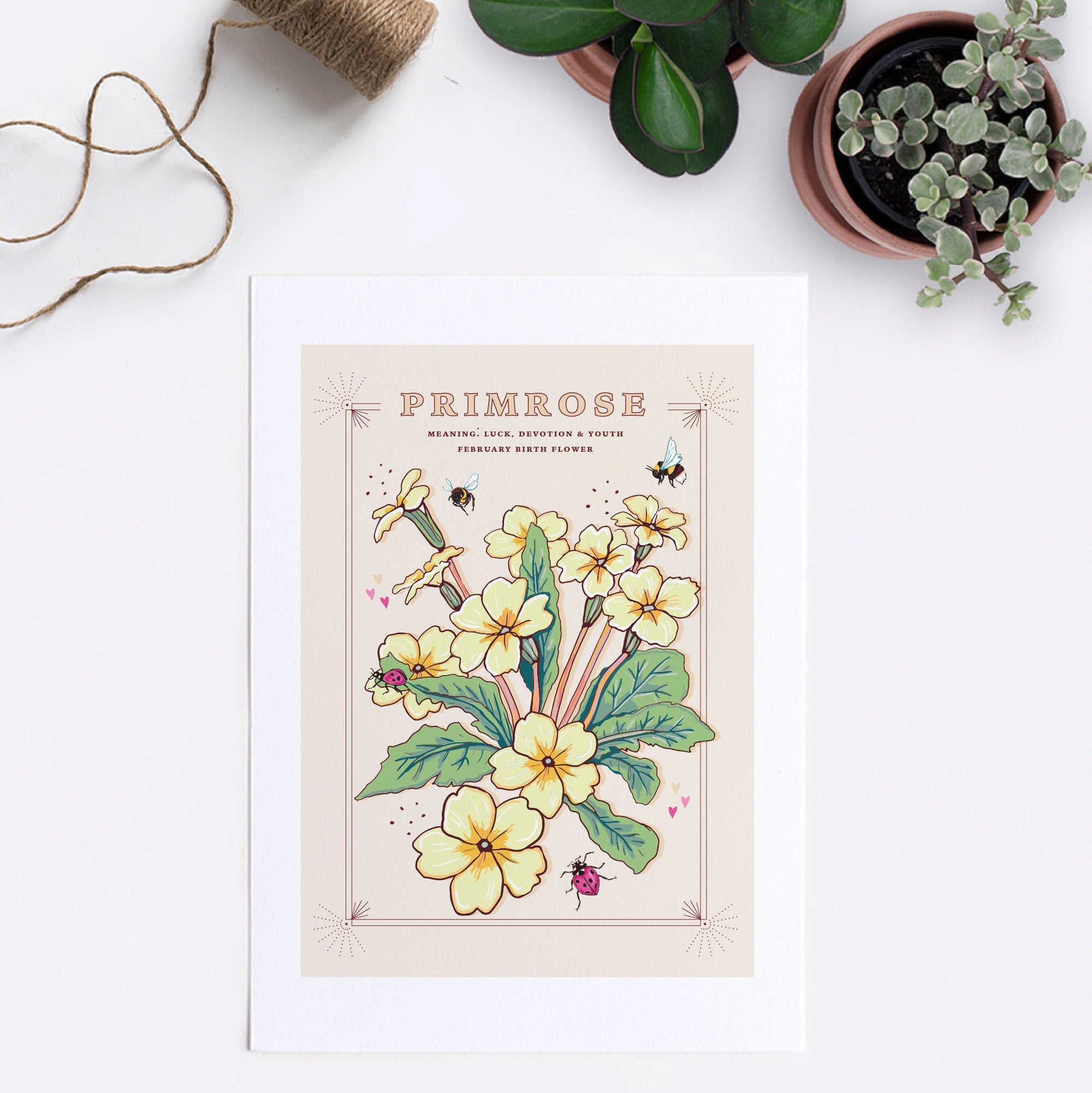 Primrose February Birth Flower Wall Art Print