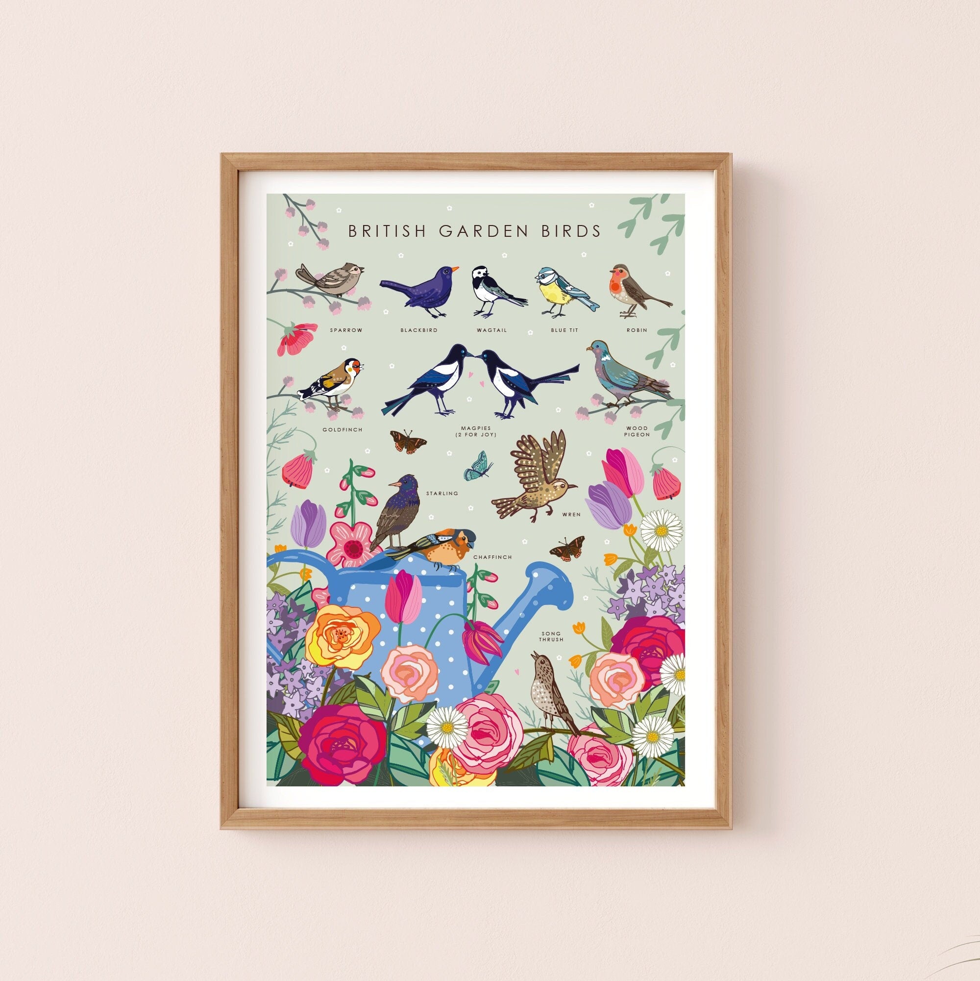 British Garden Birds Nature Guide Wall Art Print