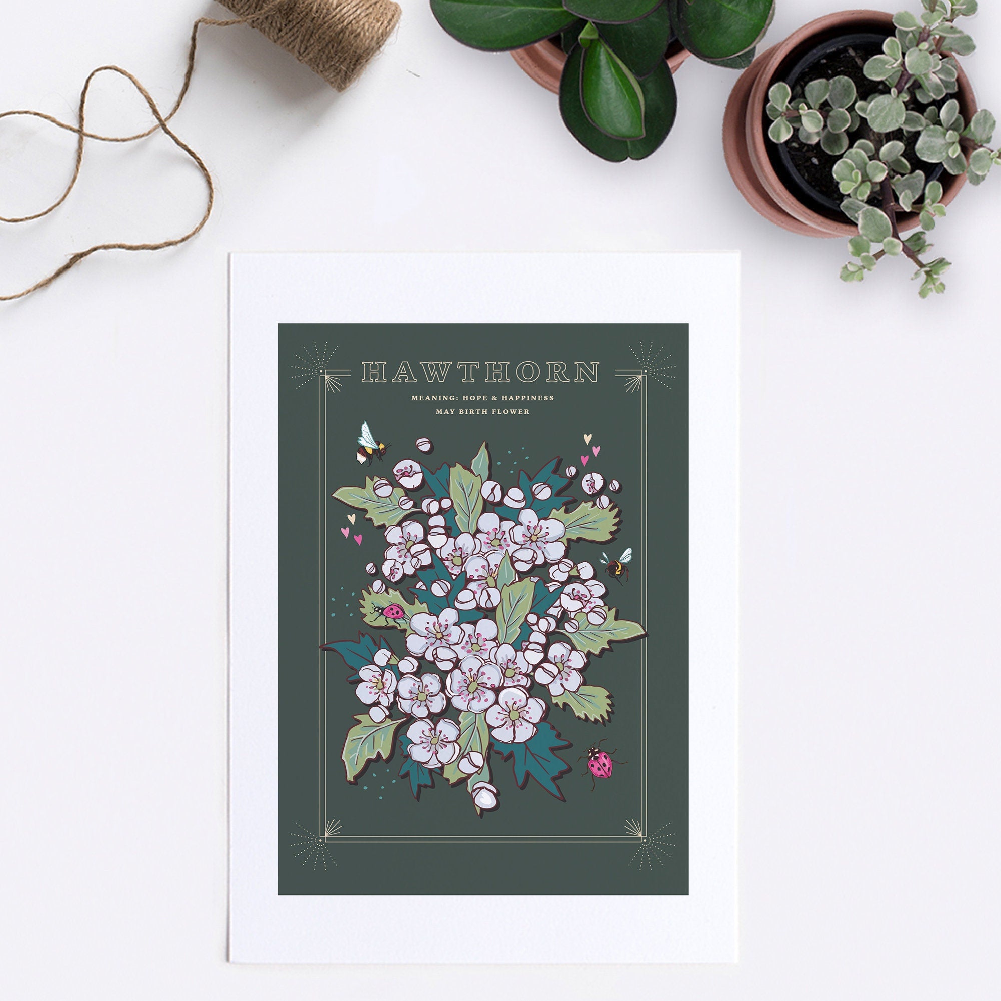 Hawthorn May Birth Flower Wall Art Print