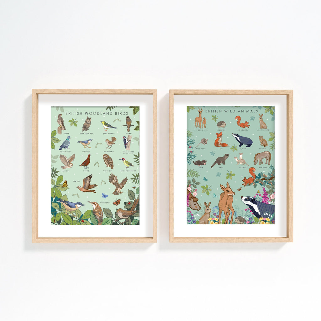 British Woodland Birds Nature Guide Wall Art Print